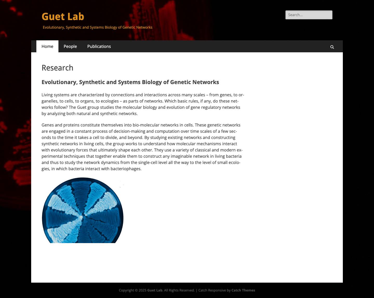 Guet Lab – Evolutionary, Synthetic and Systems Biology of Genetic Networks - Full Screenshot