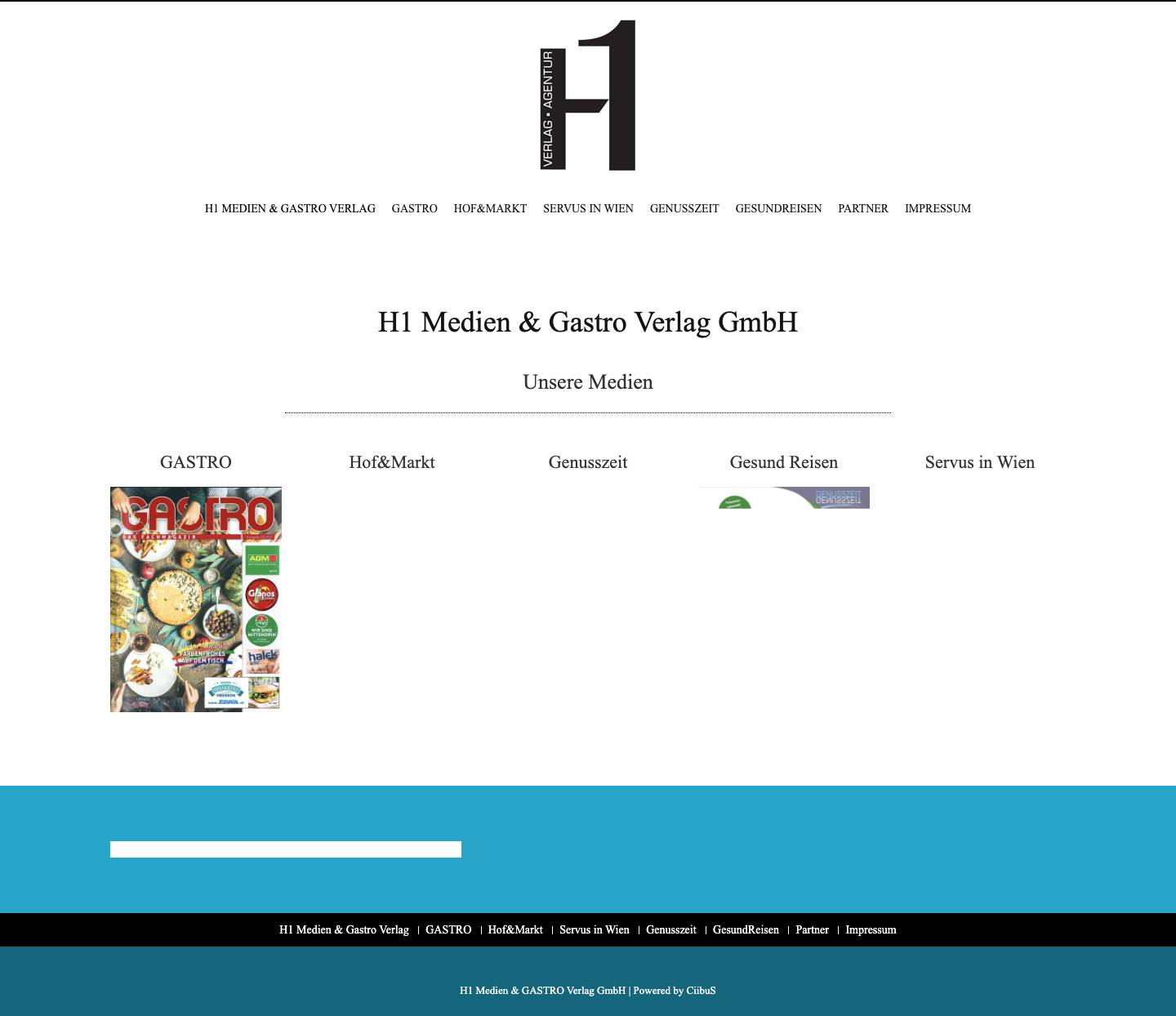 H1 Medien - Verlag Agentur - Full Screenshot
