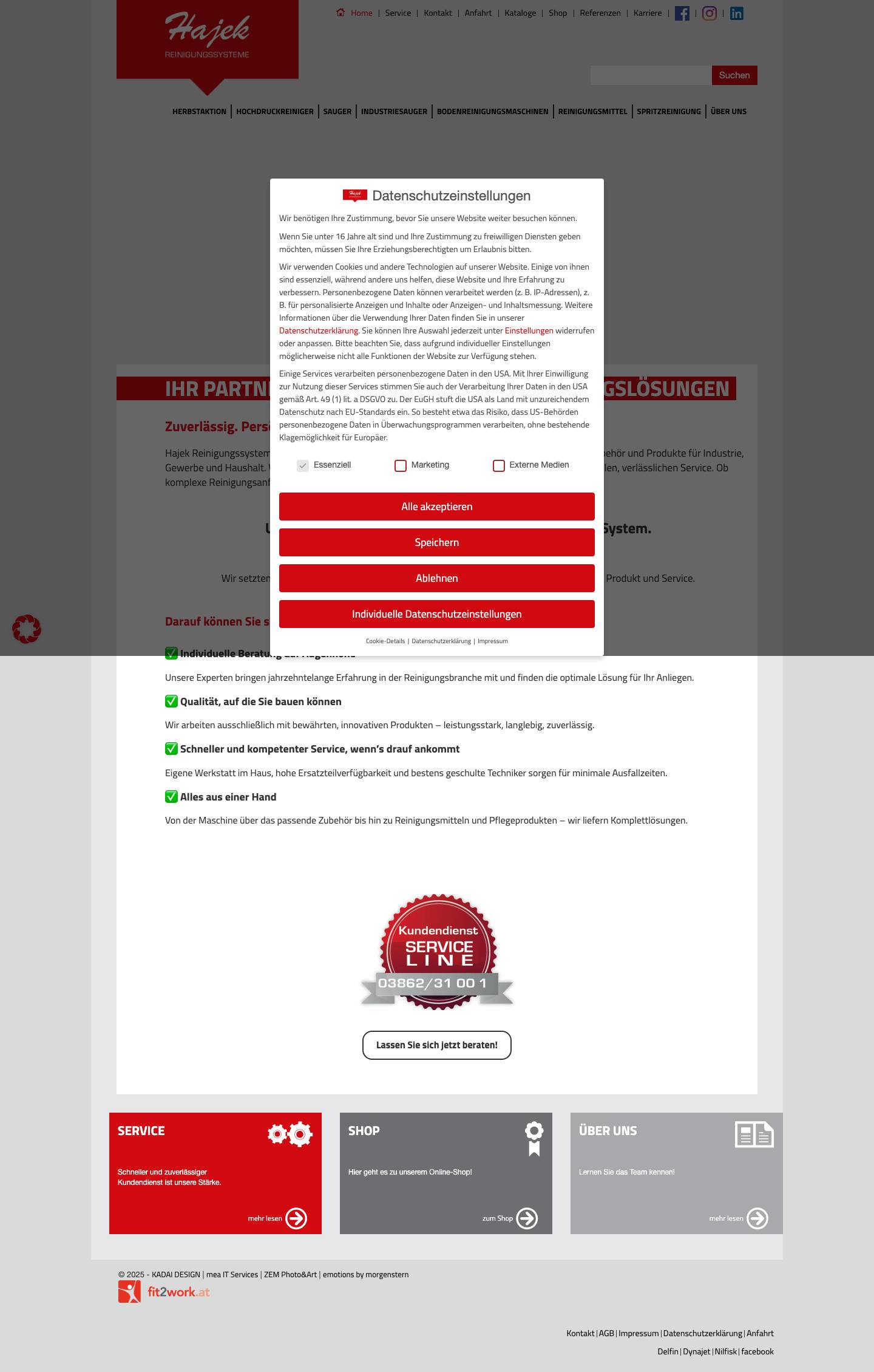 Startseite - Hajek Reinigungssysteme - Full Screenshot