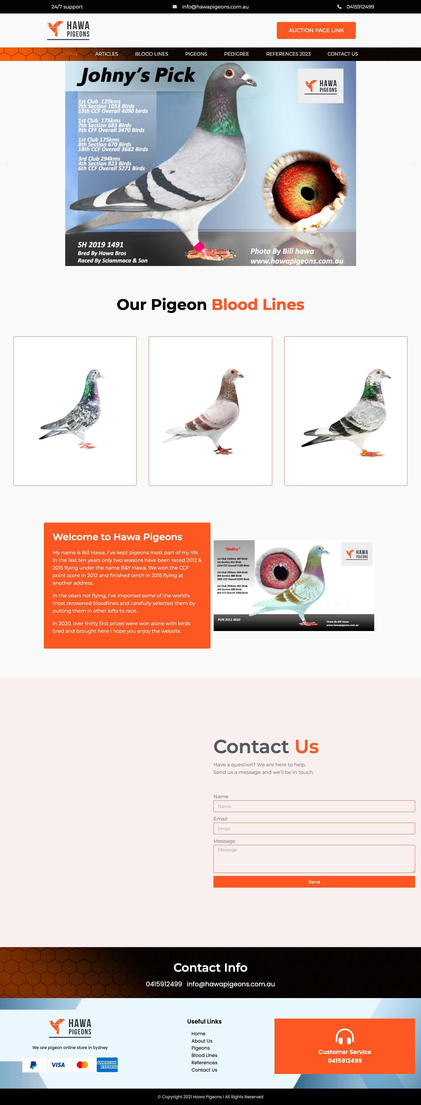 Hawa Pigeons Hawa Pigeons - Full Screenshot
