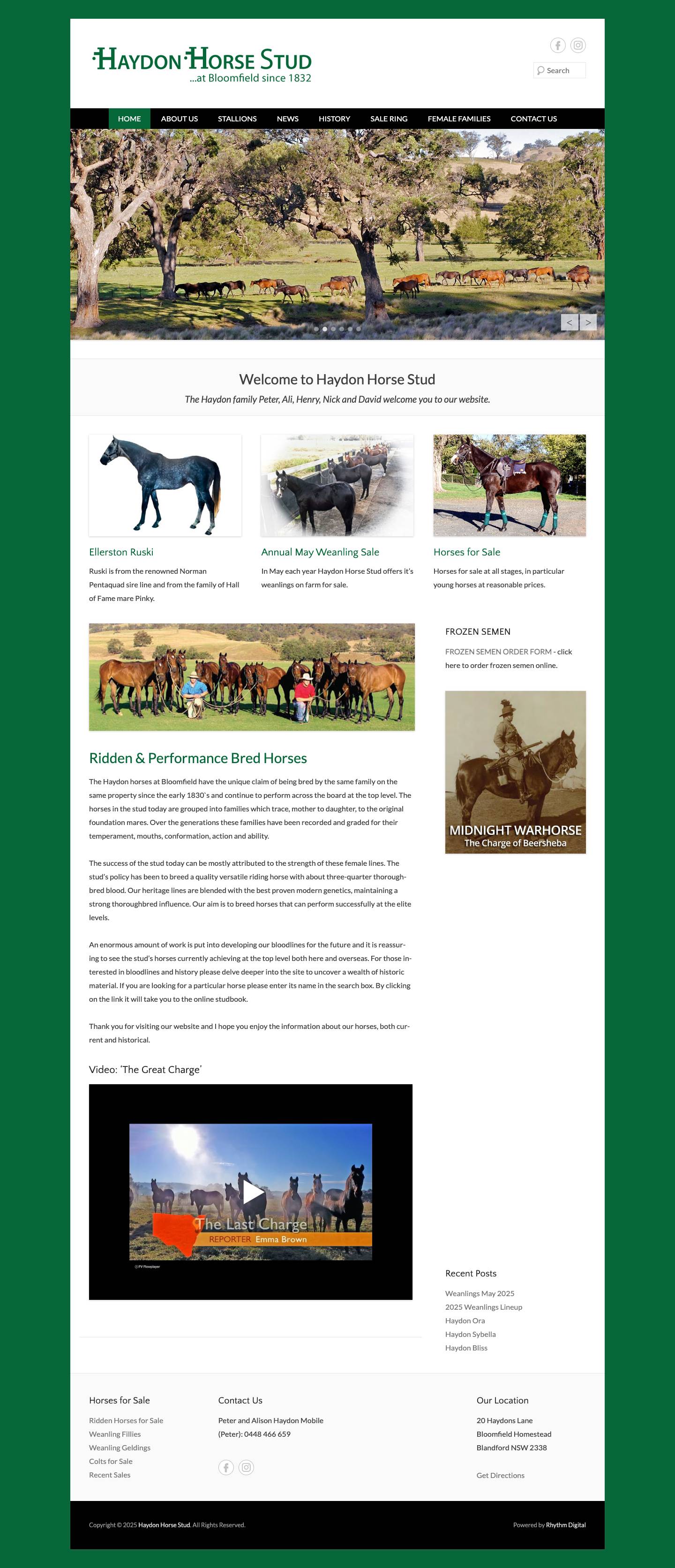 Haydon Horse Stud | Ridden & Performance Bred Horsesplay-sharp-fill - Full Screenshot