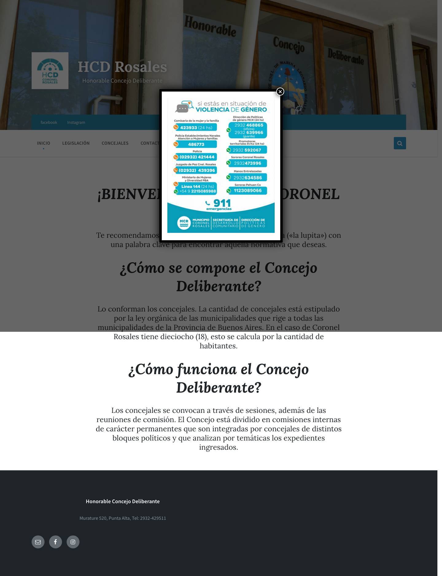 HCD Rosales – Honorable Concejo Deliberante - Full Screenshot