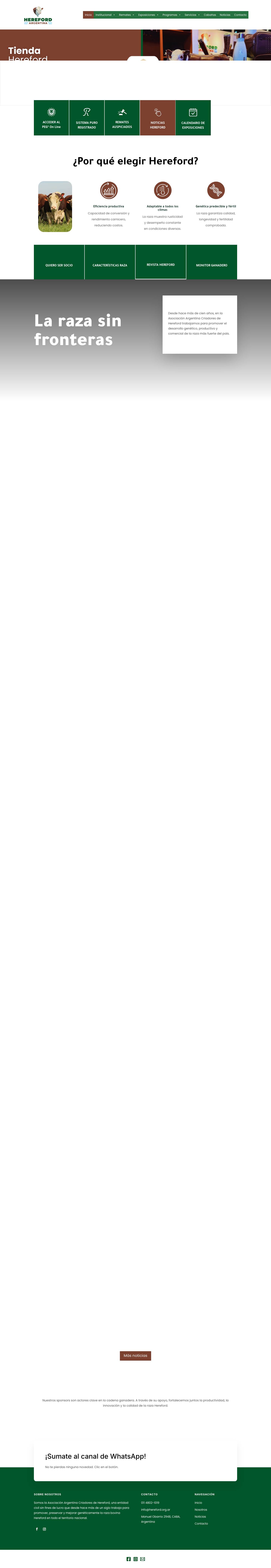 Hereford Argentina – Asociación Argentina Criadores de Hereford Email - Full Screenshot