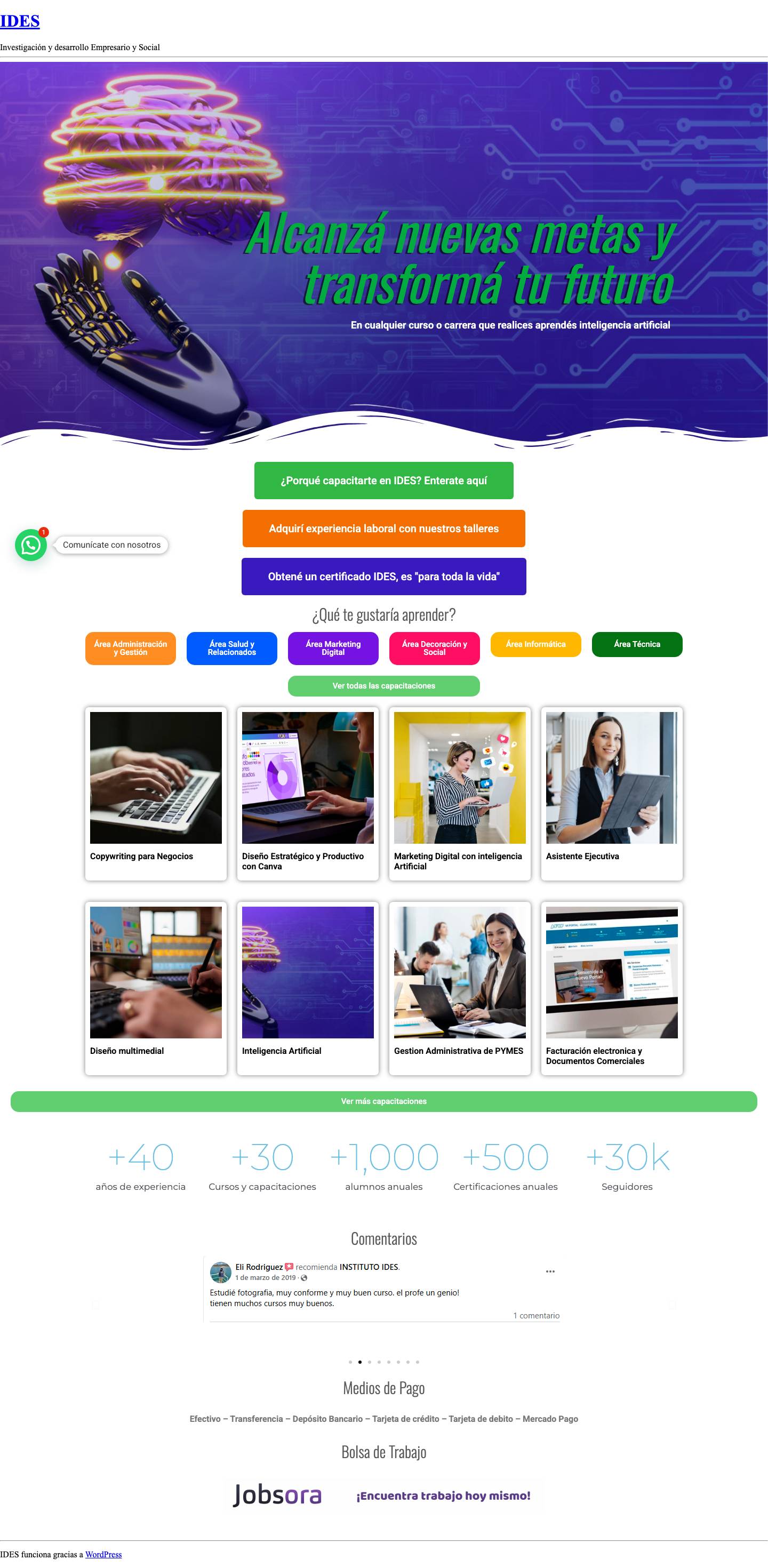 IDES – Investigación y desarrollo Empresario y SocialJoinchat - Full Screenshot