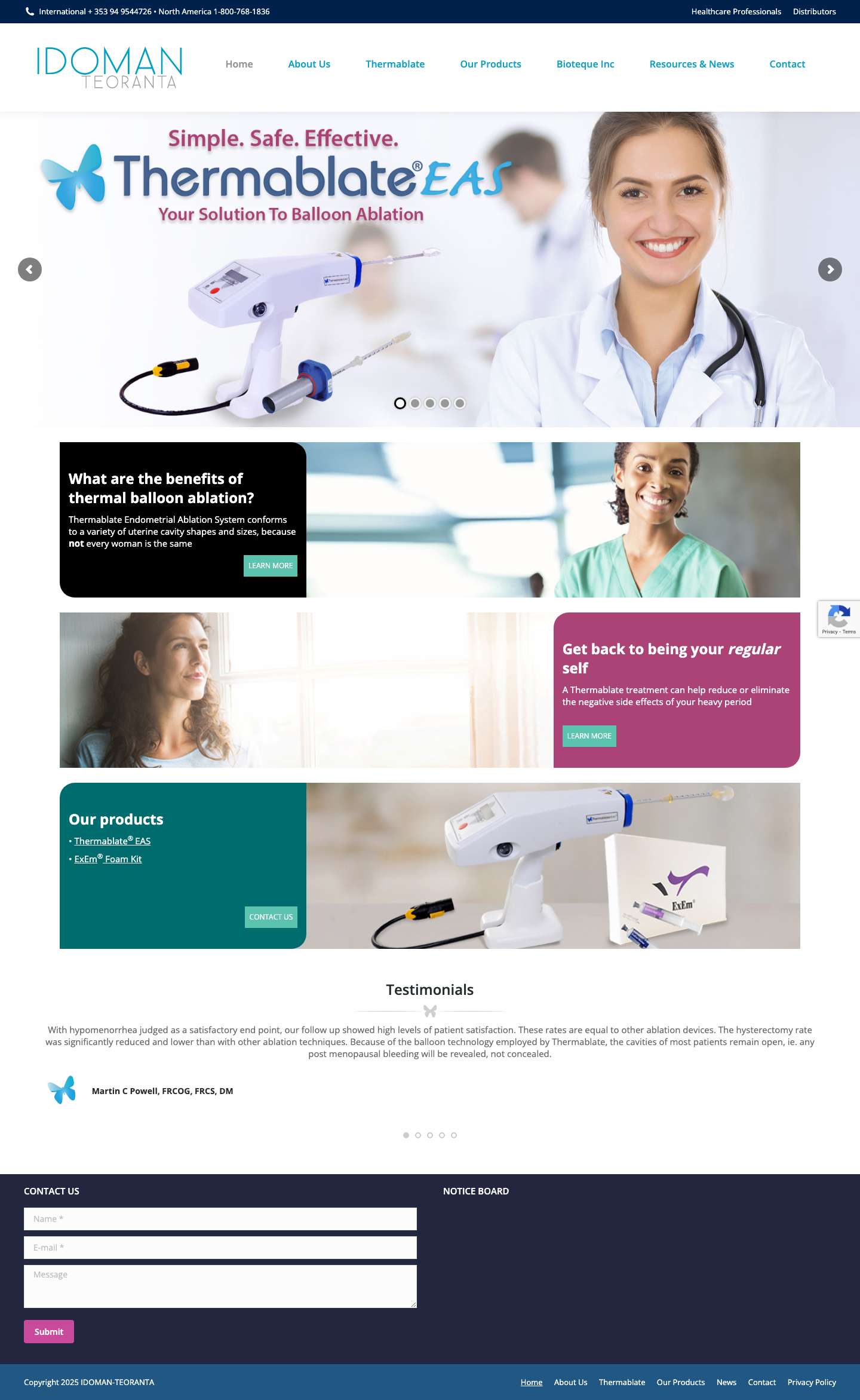 Home - Idoman Teoranta - Full Screenshot