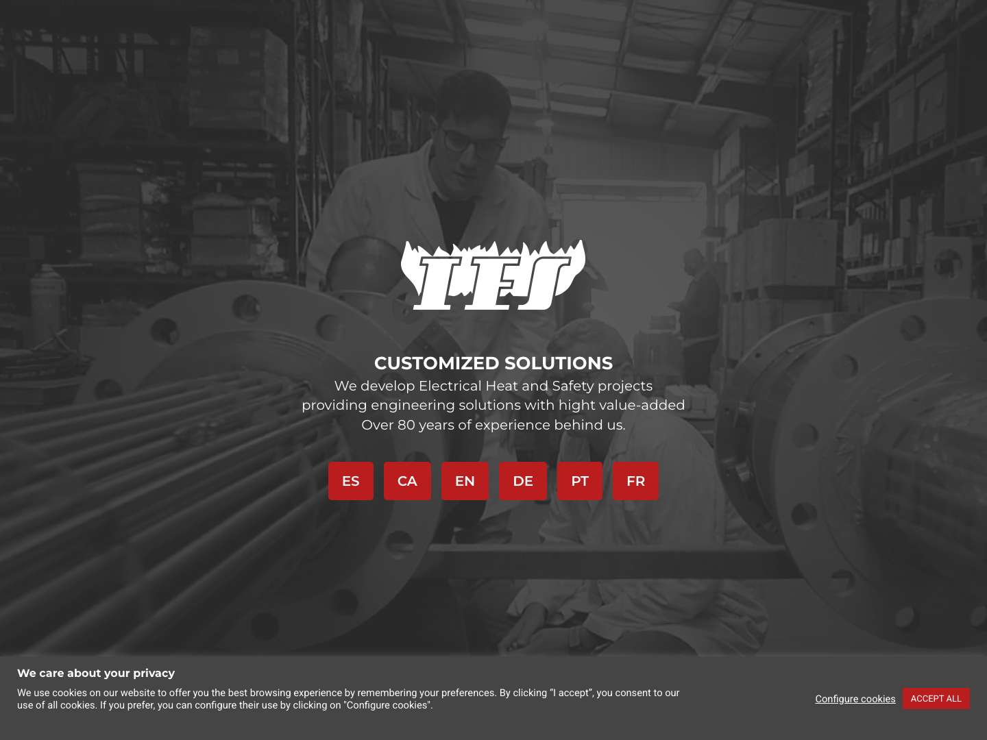 land idioma EN | IES SOLER - Full Screenshot