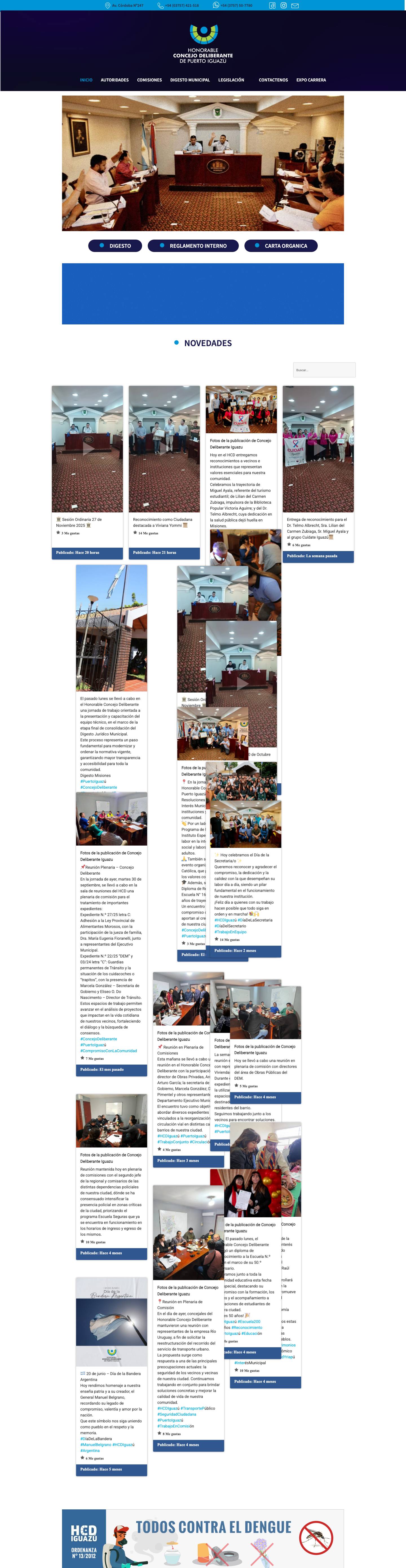 Honorable Concejo Deliberante – De la ciudad de Puerto Iguazú - Full Screenshot