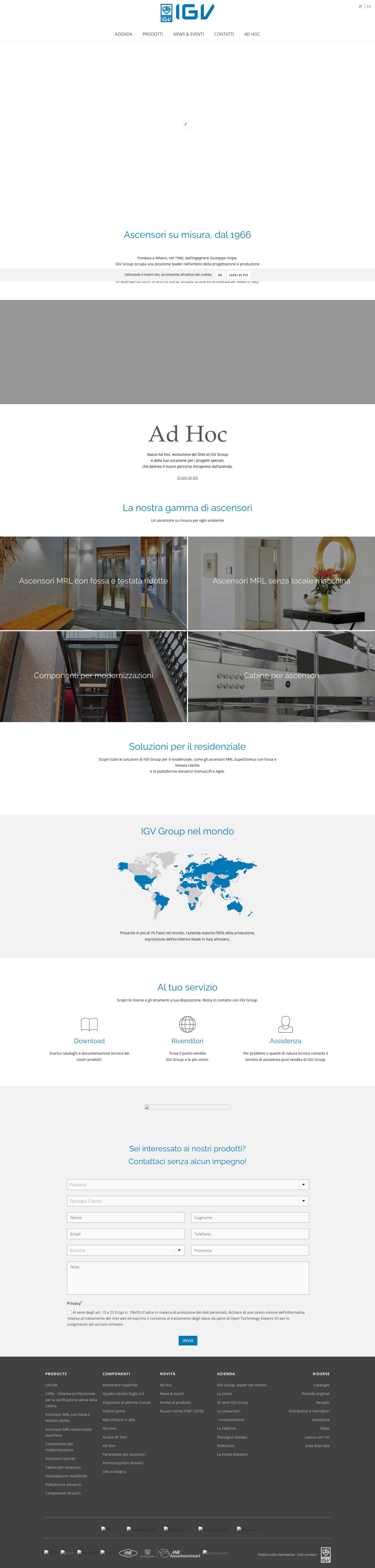 IGV GROUP - Full Screenshot