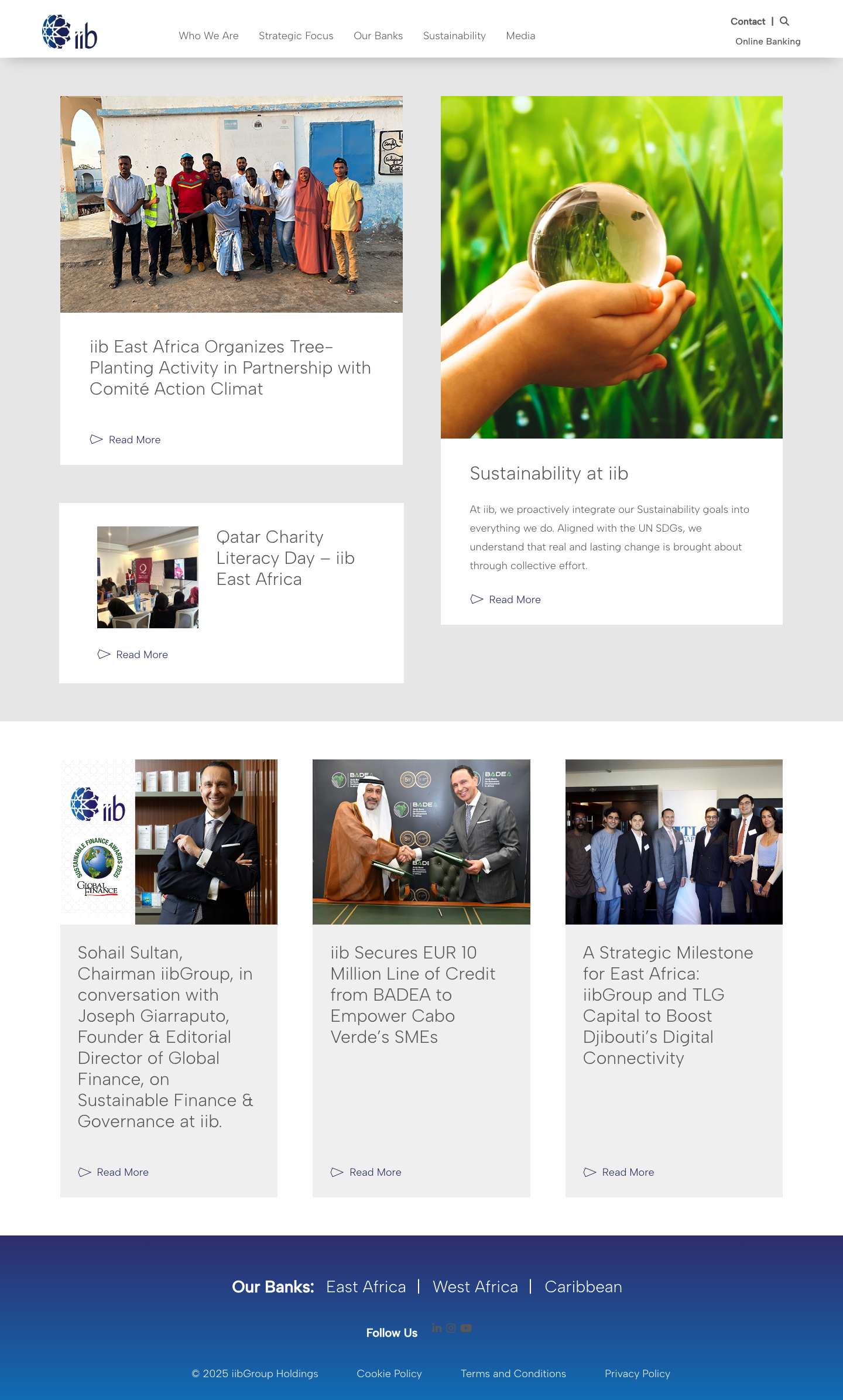 Intercontinental Investment Bank (iib) - Full Screenshot