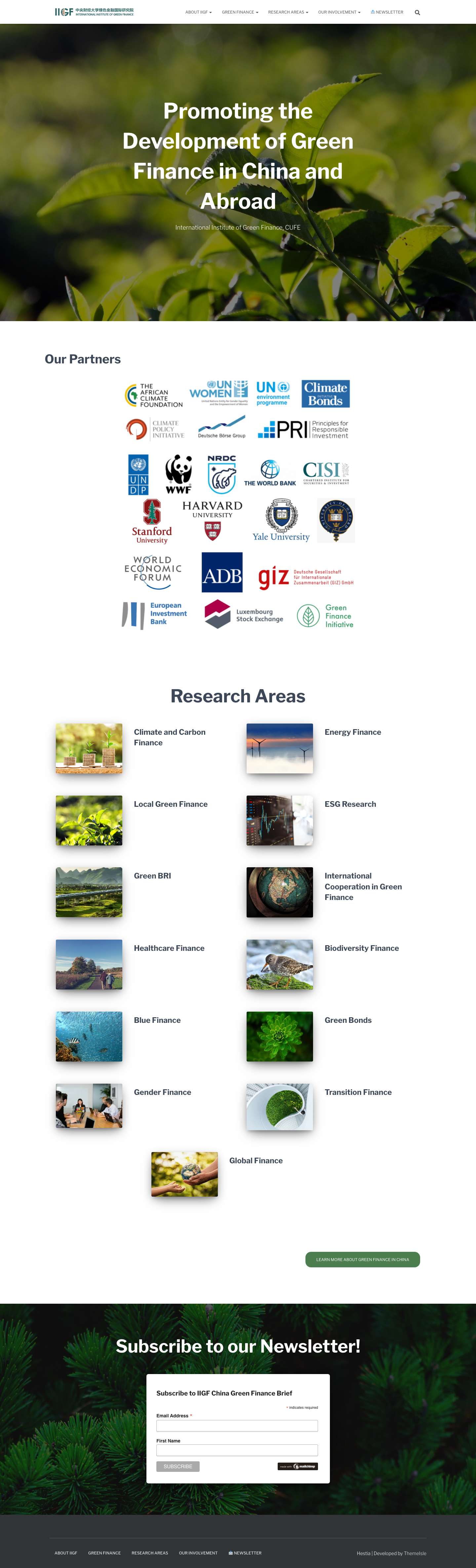 International Institute of Green Finance - Full Screenshot