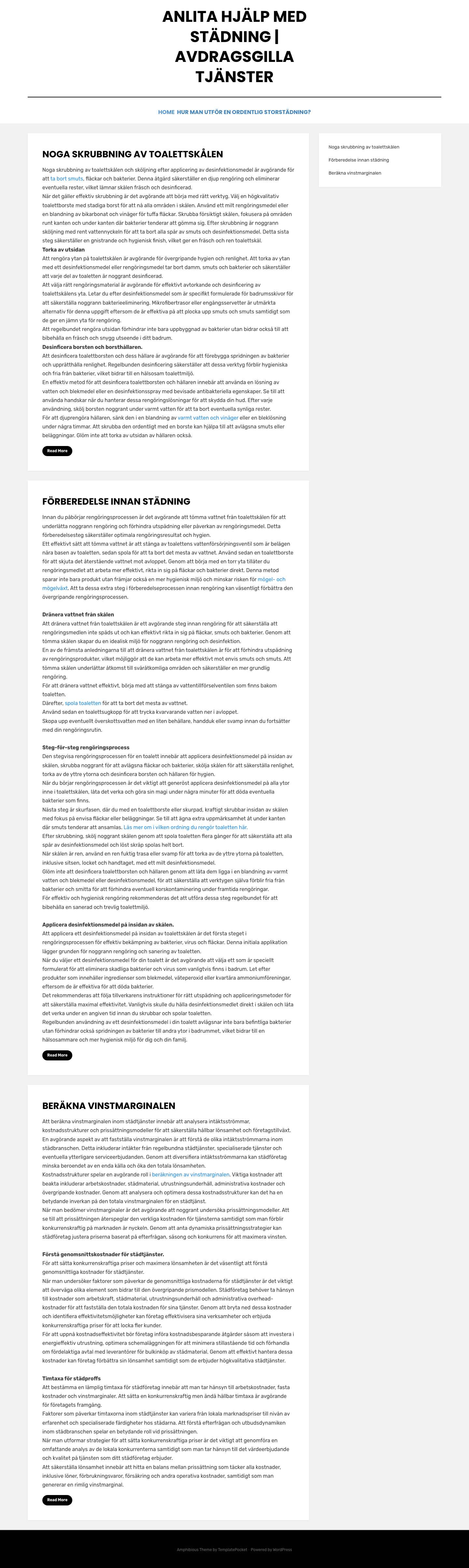 Anlita hjälp med städning | Avdragsgilla tjänster - Full Screenshot