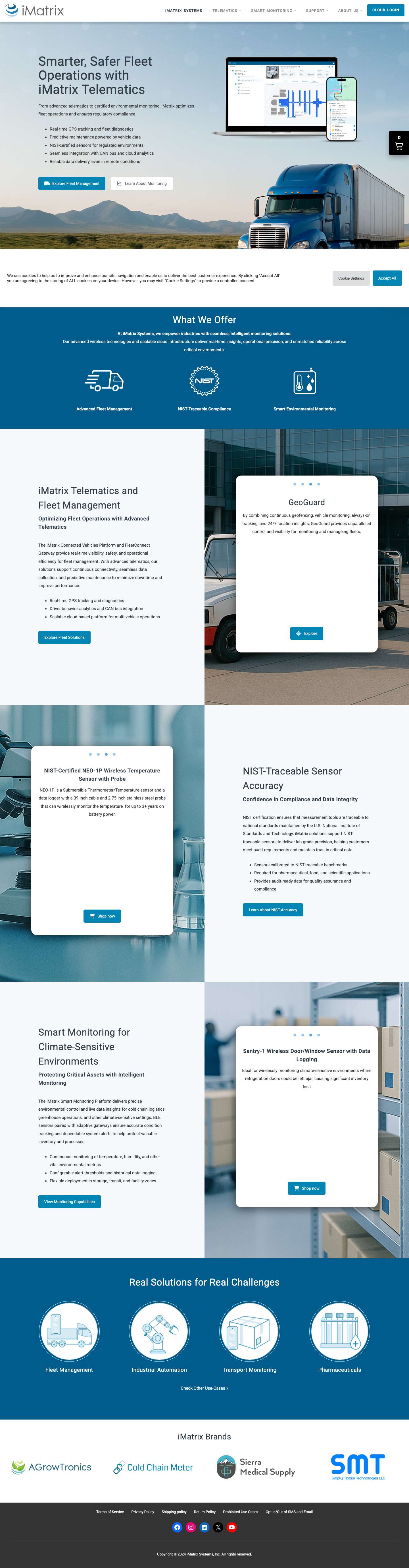 Home - iMatrix Systems - Full Screenshot