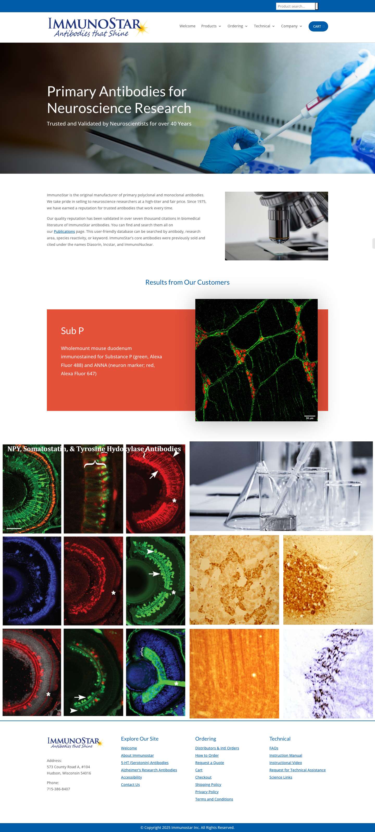 Welcome | Immunostar - Full Screenshot