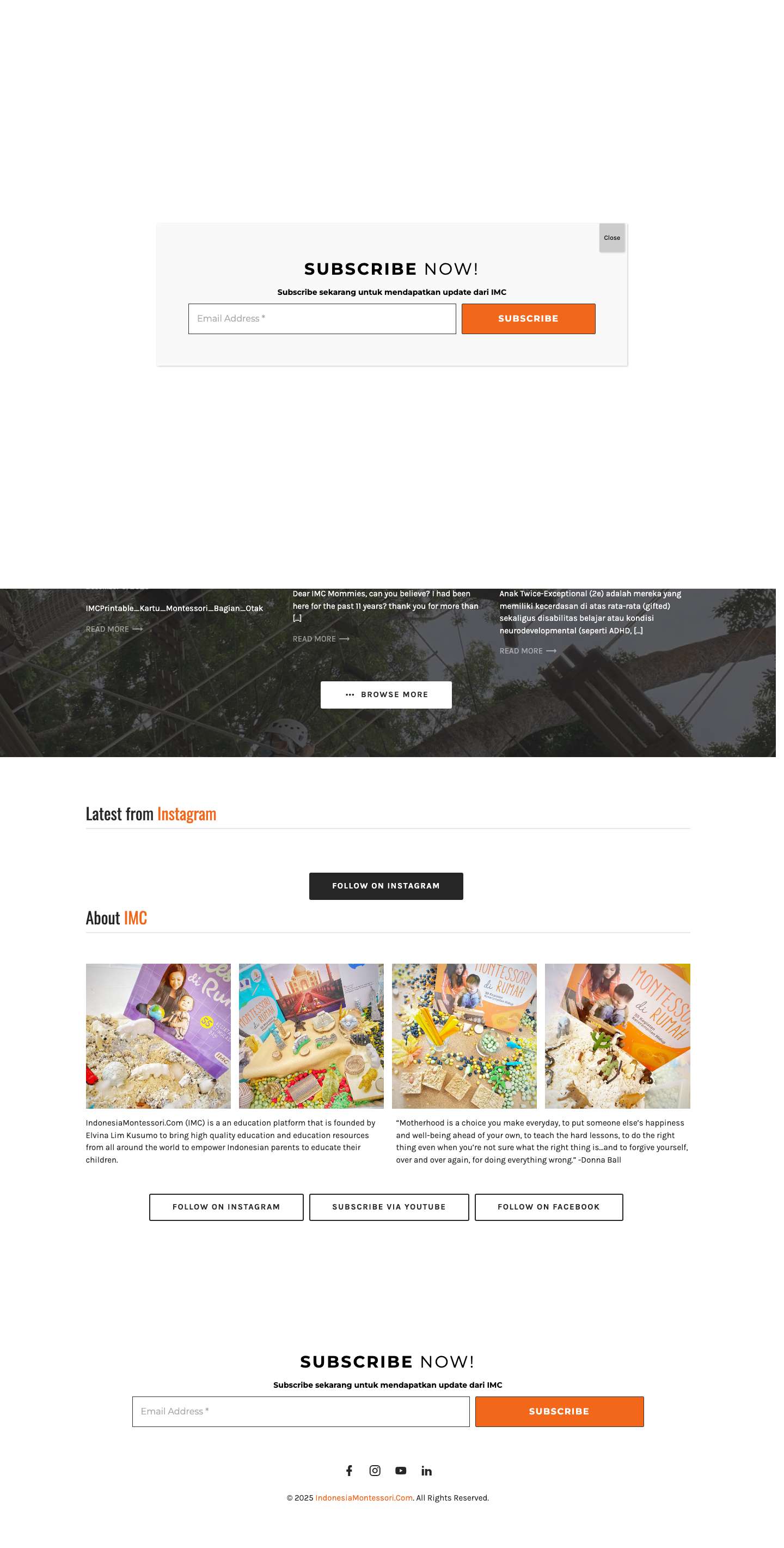 IndonesiaMontessori.Com – Global education for Indonesian parents and children - Full Screenshot