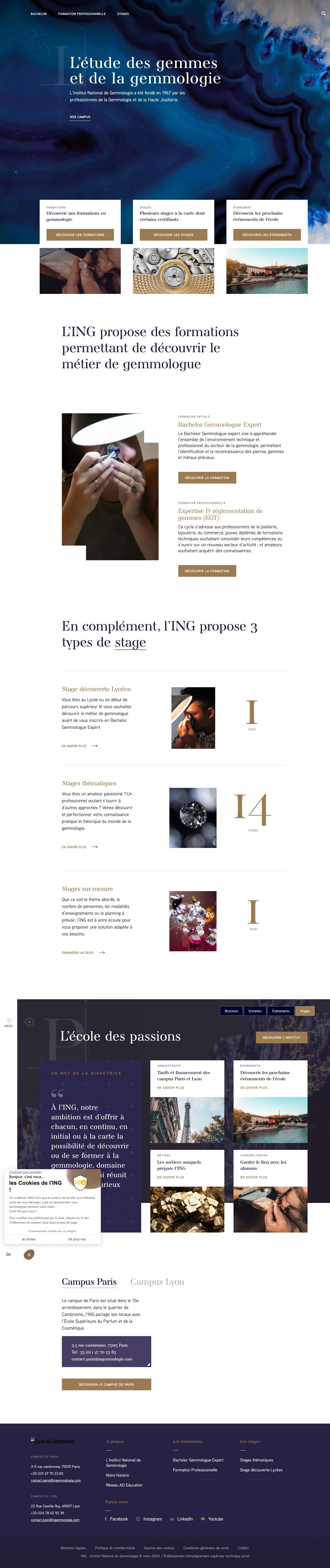 AccueilEcole de Gemmologie – Un site utilisant WordPress - Full Screenshot