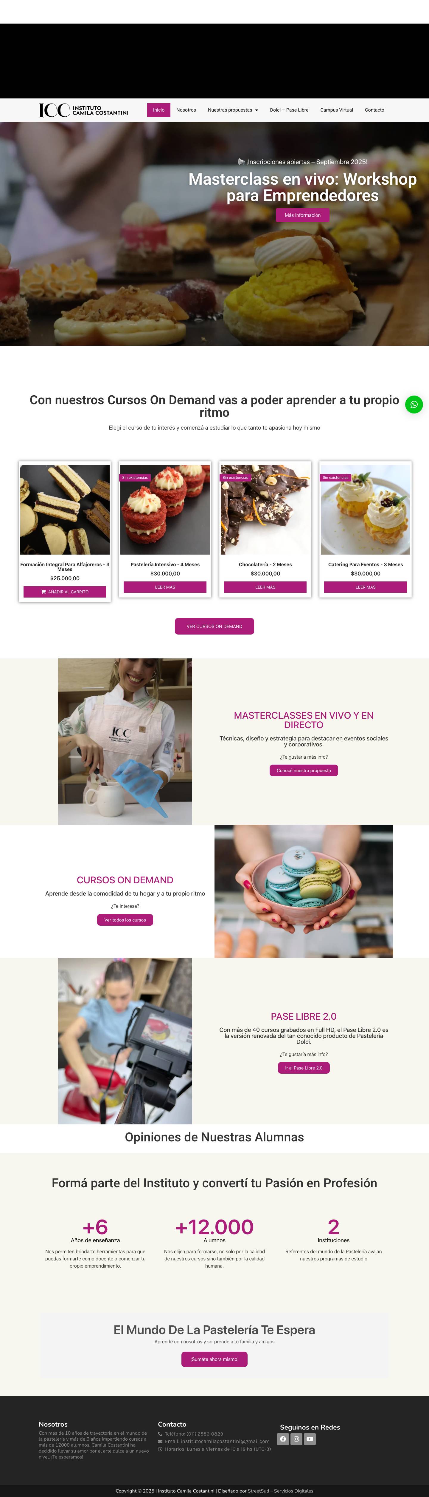 Instituto Camila Costantini | Inicio - Full Screenshot