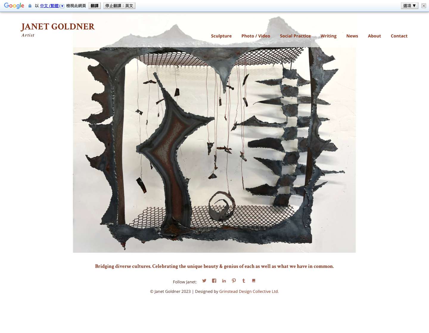 Janet Goldner, Artist Janet Goldner - Full Screenshot