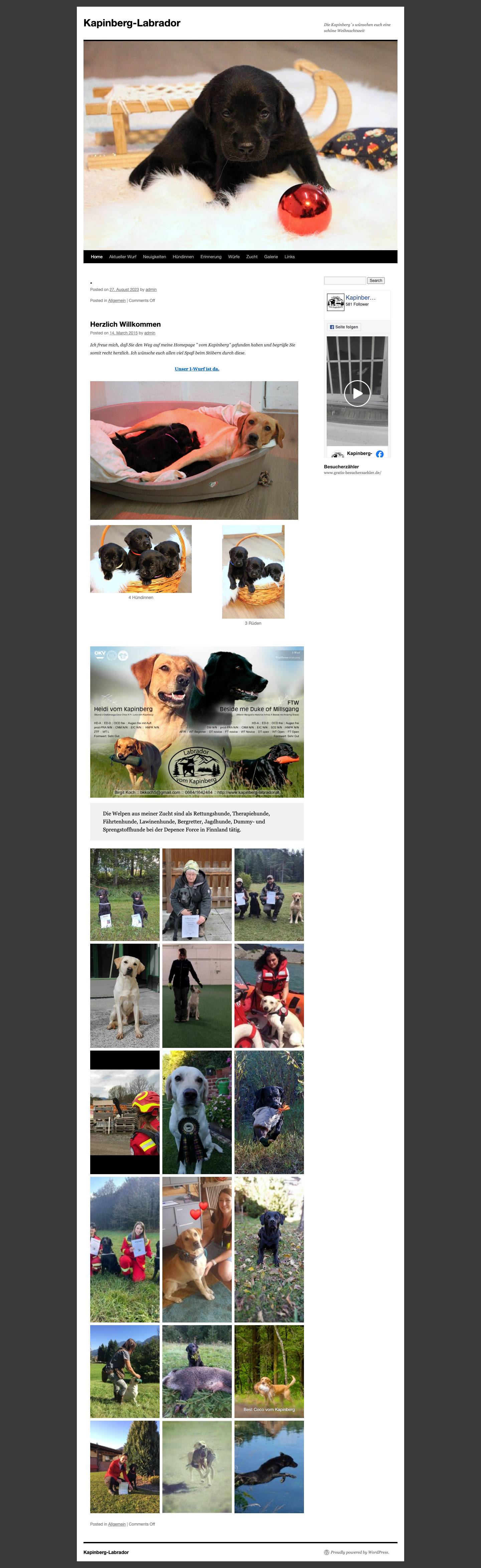 Kapinberg-Labrador | Die Kapinberg´s wünschen euch eine schöne Weihnachtszeit - Full Screenshot