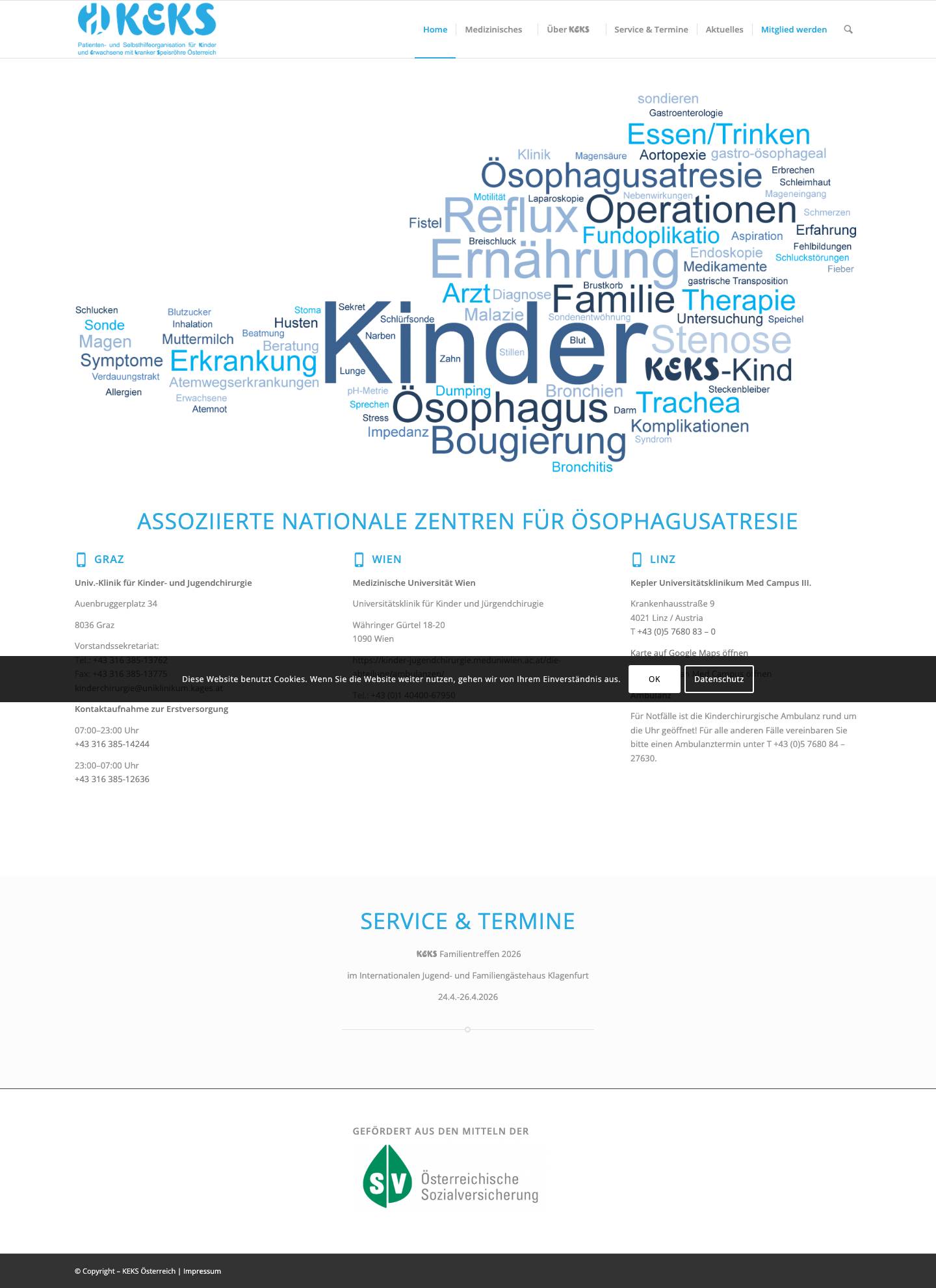 KEKS Österreich – Patienten und Selbsthilfeorganisation für Kinder und Erwachsene mit kranker Speiseröhre - Full Screenshot