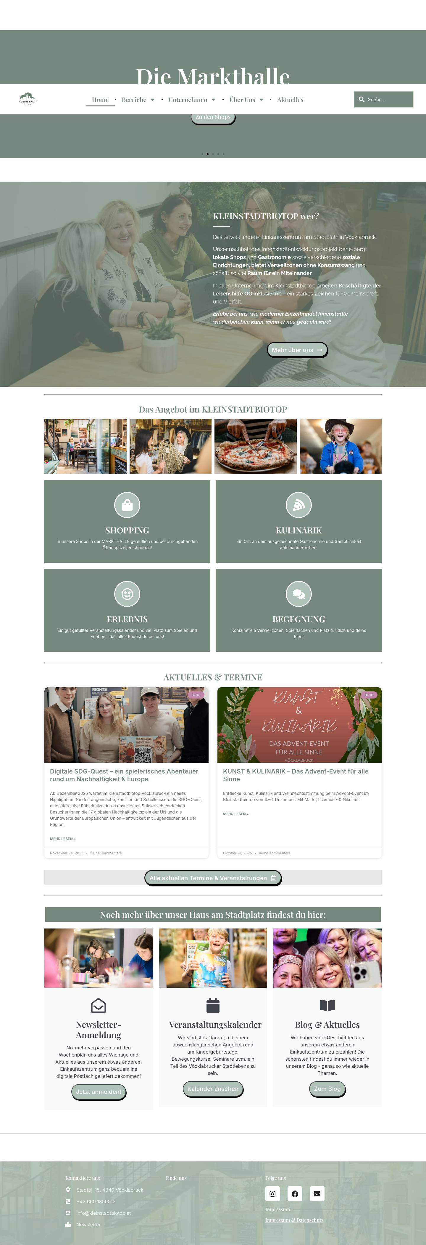 Home - KLEINSTADTBIOTOP Vöcklabruck - Full Screenshot