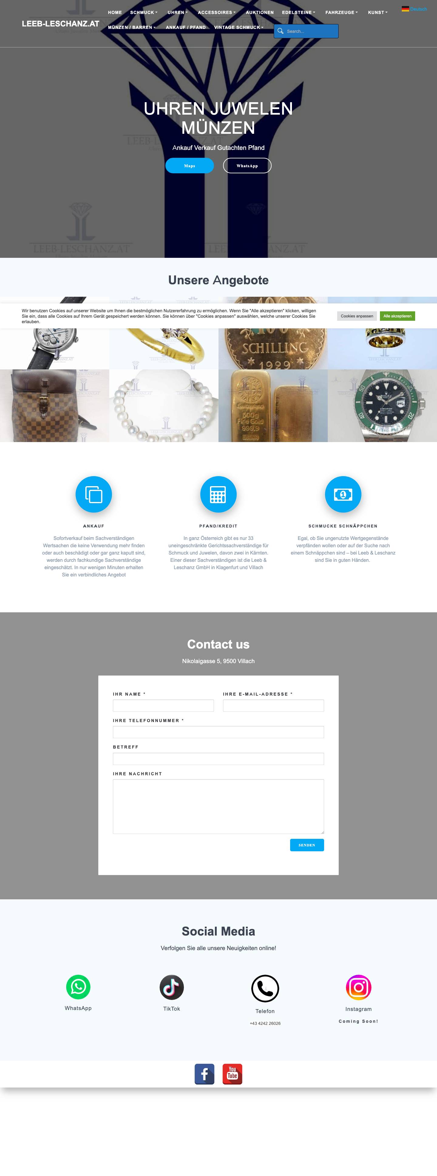 Leeb-Leschanz.at - Full Screenshot