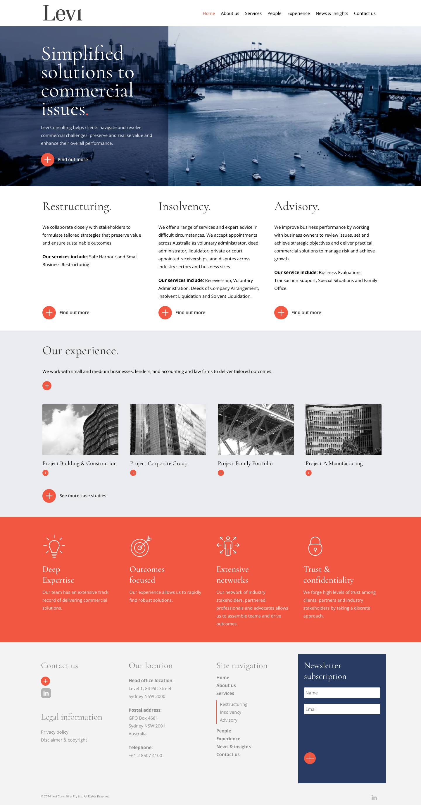 Home - Levi Consulting - Full Screenshot
