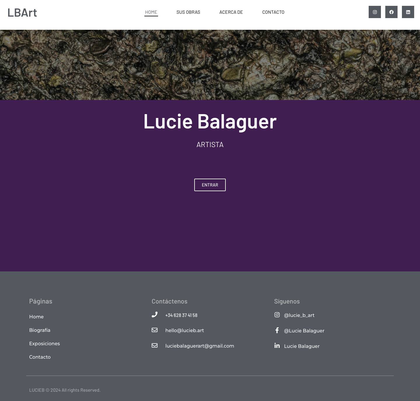 Lucie Balaguer - Arte Contemporáneo Inspirado en el Universo - Full Screenshot