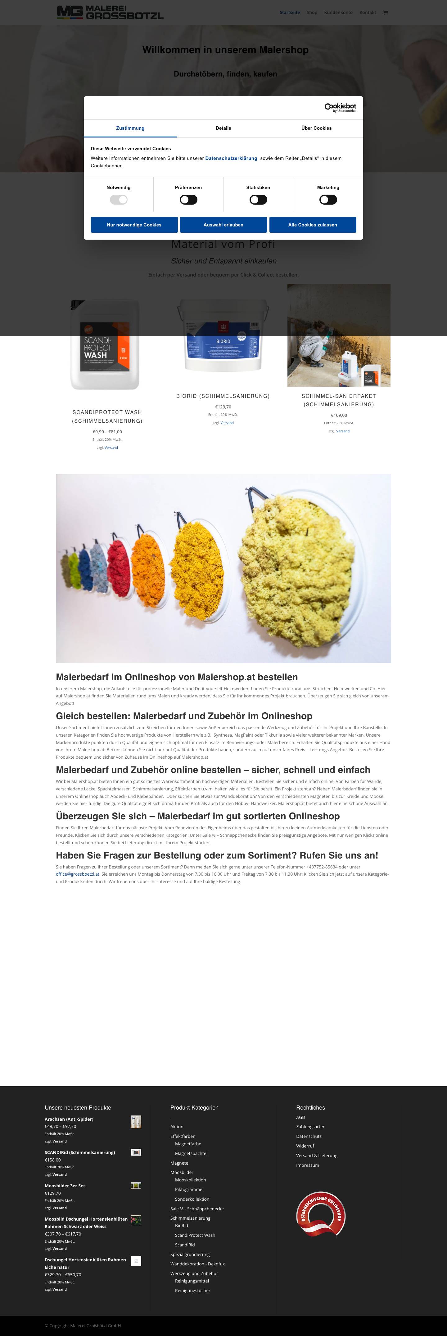 Startseite - Malerei Großbötzl - Full Screenshot