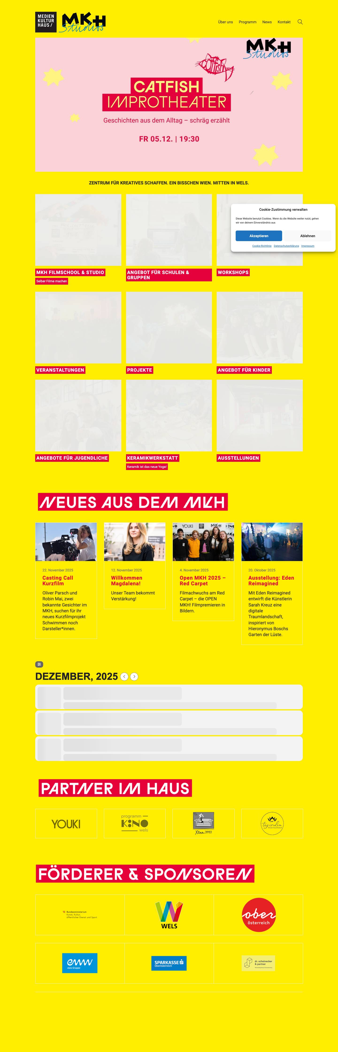 Medien Kultur Haus – Kulturzentrum in Wels - Full Screenshot