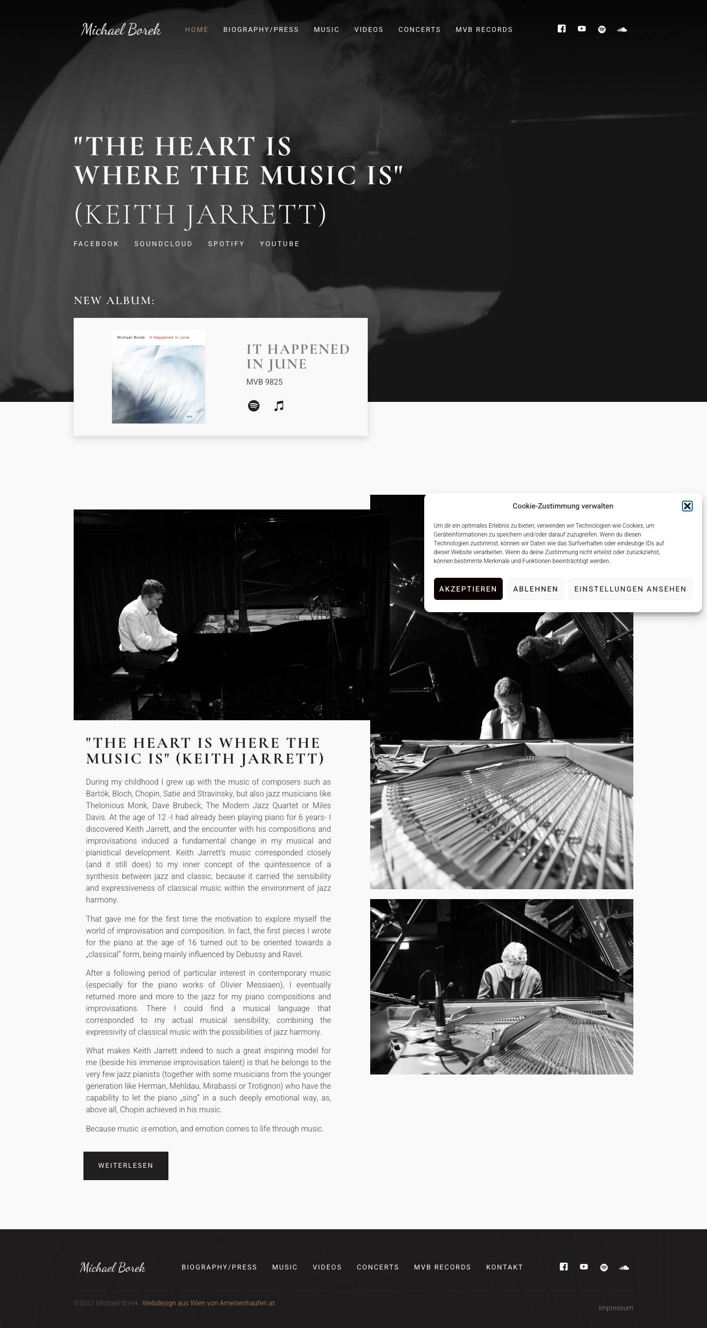 Home - MICHAEL BOREK - Full Screenshot