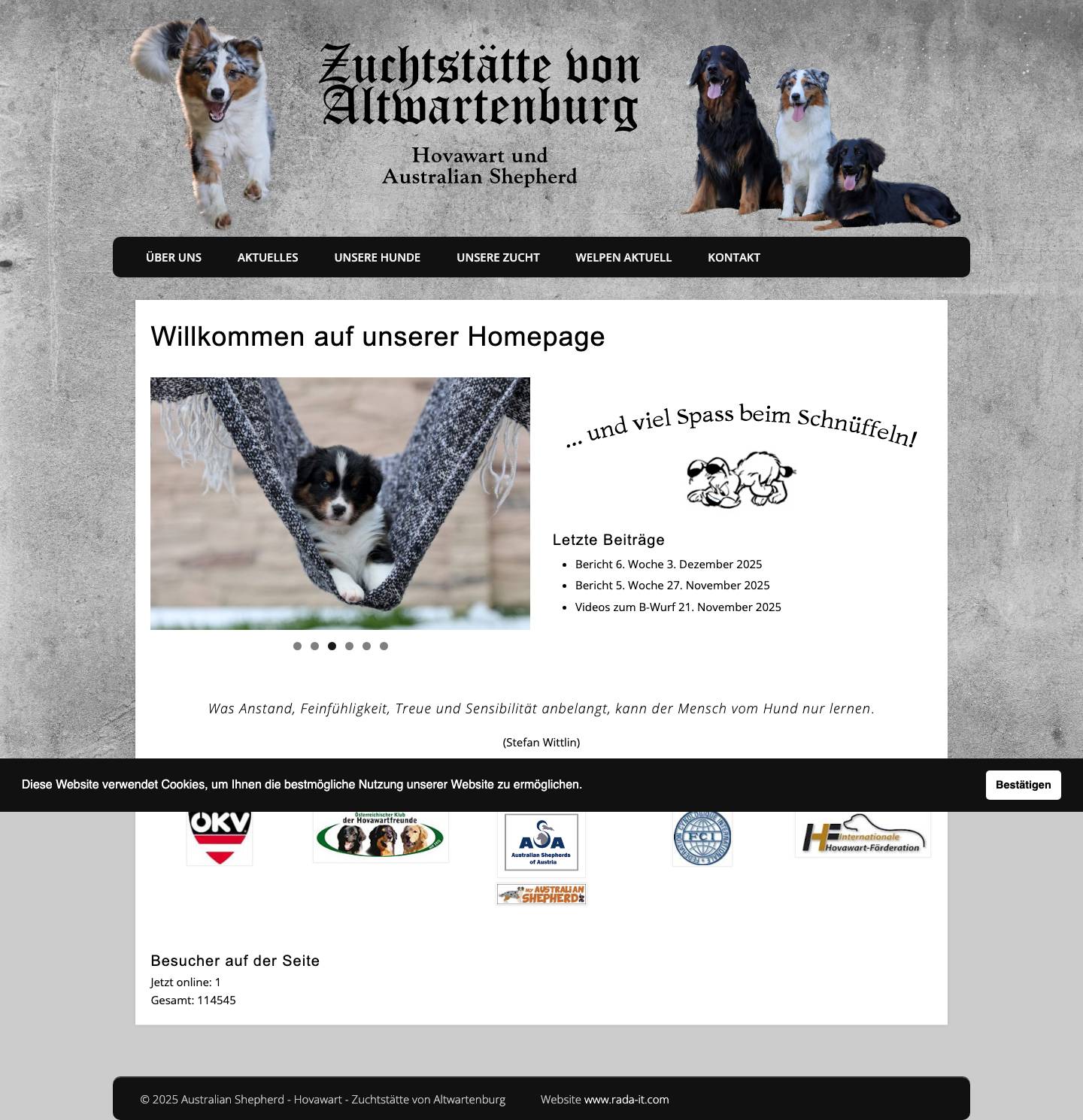 Willkommen auf unserer Homepage - Australian Shepherd - Hovawart - Zuchtstätte von Altwartenburg - Full Screenshot