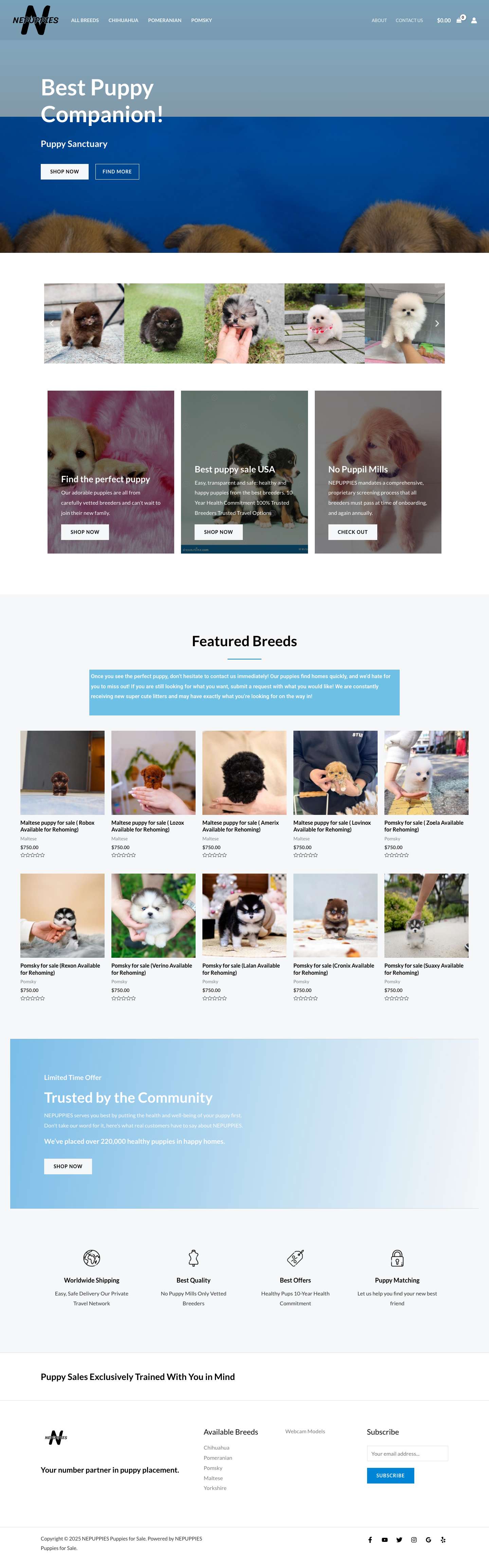 Home - NEPUPPIES Puppies for Sale Google Reviews - Full Screenshot