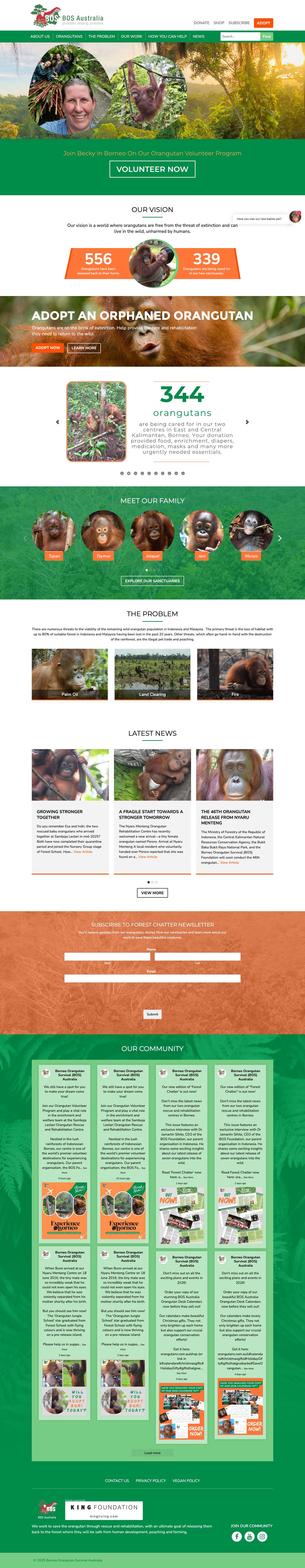 Orangutan Survival - Rescue and Rehabilitation - BOS AustraliaOrangutan Survival - Rescue and Rehabilitation - BOS AustraliaComments Box SVG icons - Full Screenshot