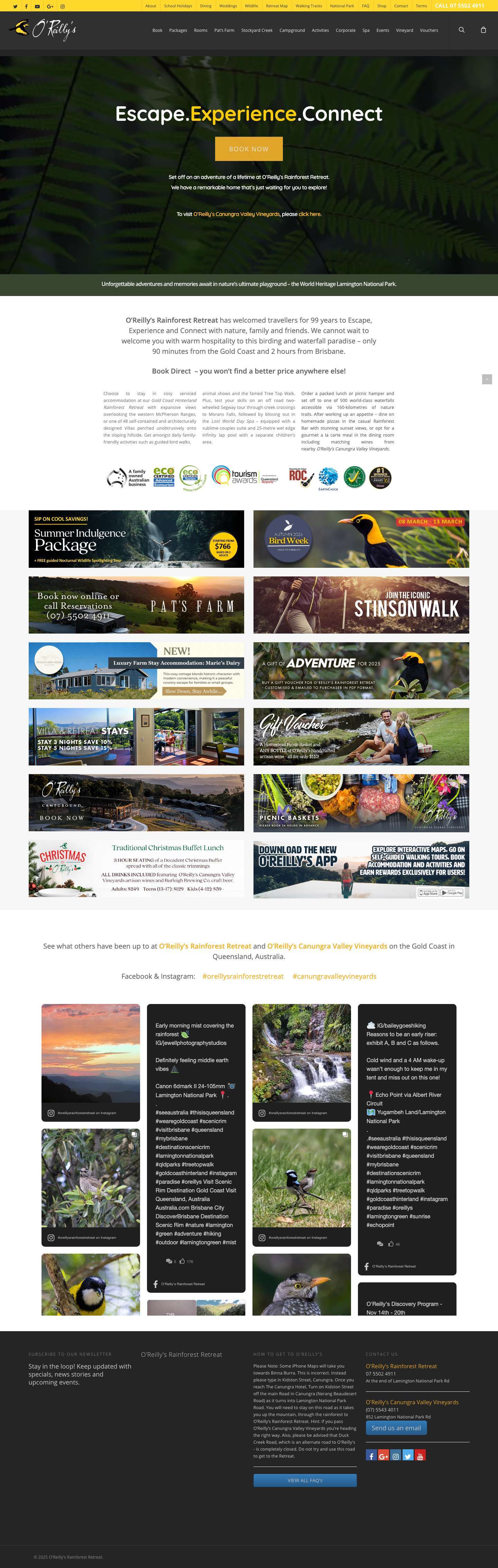 Gold Coast Hinterland Rainforest Retreat - Full Screenshot