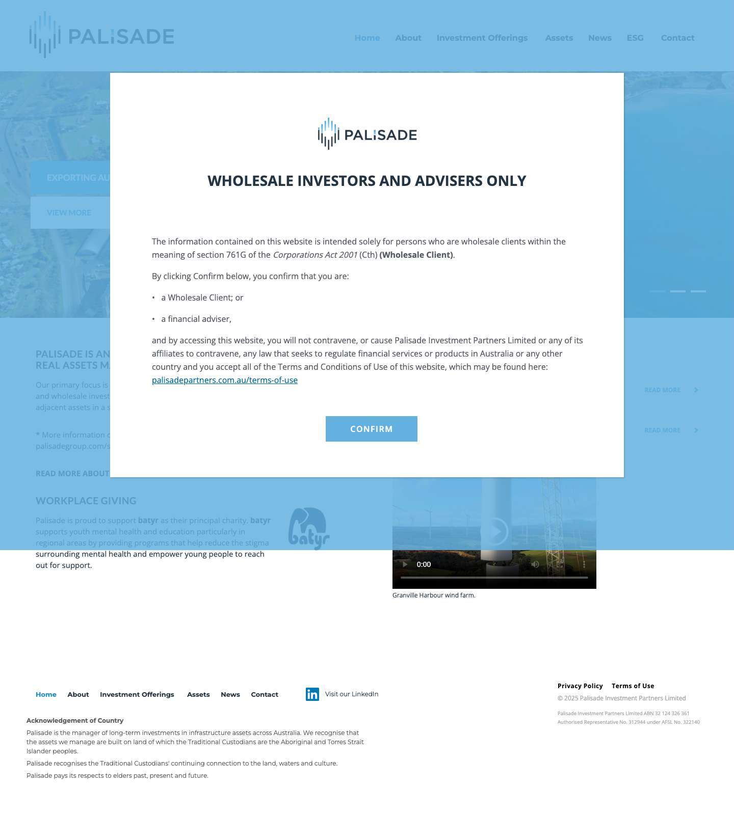 Home - Palisade Group - Full Screenshot