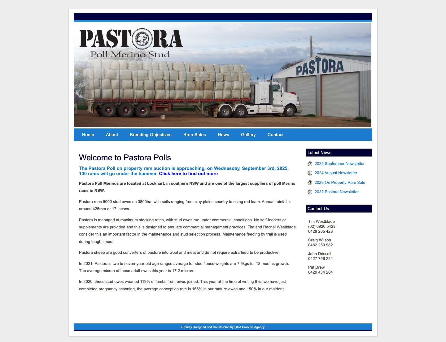 Pastora Poll Merinos | Poll Merinos | Polls | Merino | Sheep | Stud | Merino StudsPastora Poll Merino Stud - Full Screenshot