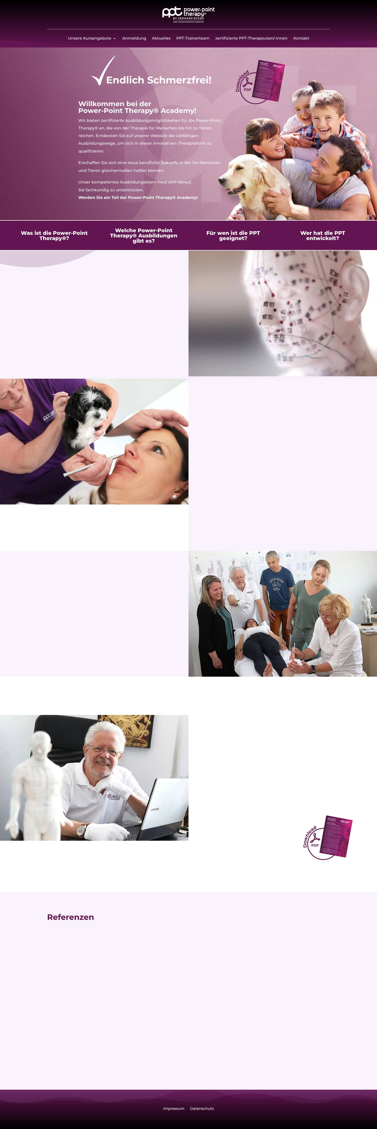 PPT-THERAPY by Gerhard Egger | Endlich schmerzfrei! - Full Screenshot