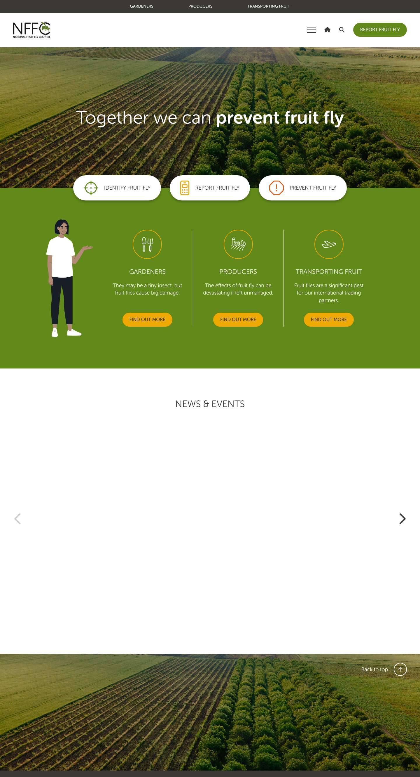 National Fruit Fly Council | Plant Health Australia - Full Screenshot