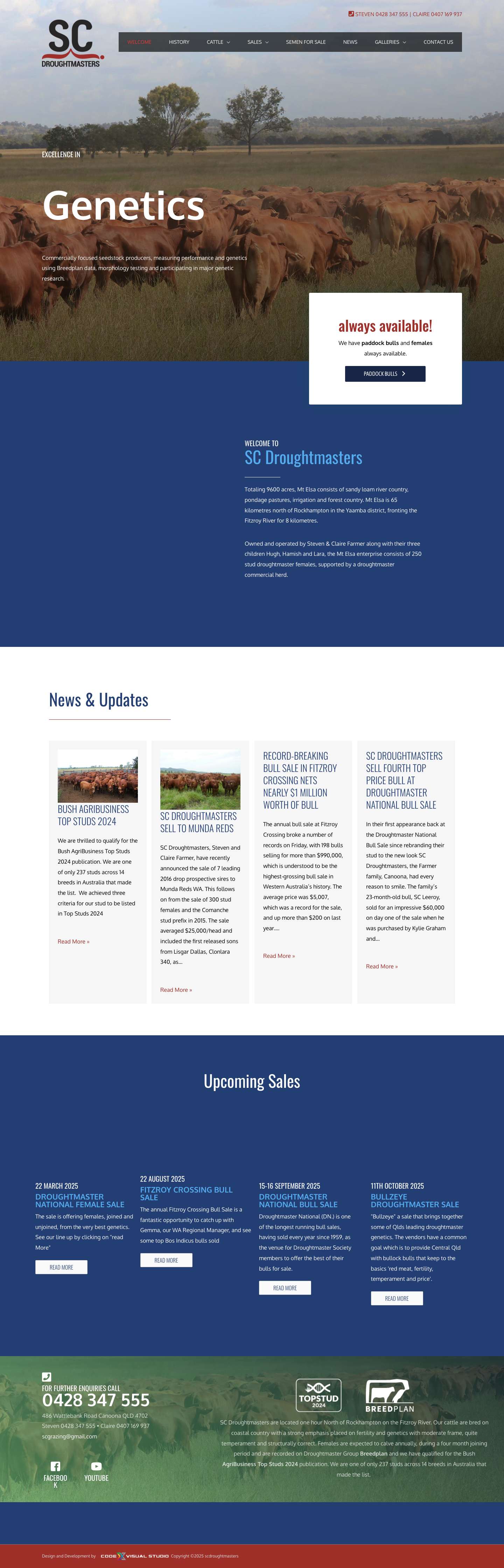 Sc Droughtmasters - Leading Breeders of Droughtmaster Cattle in Australia - Full Screenshot