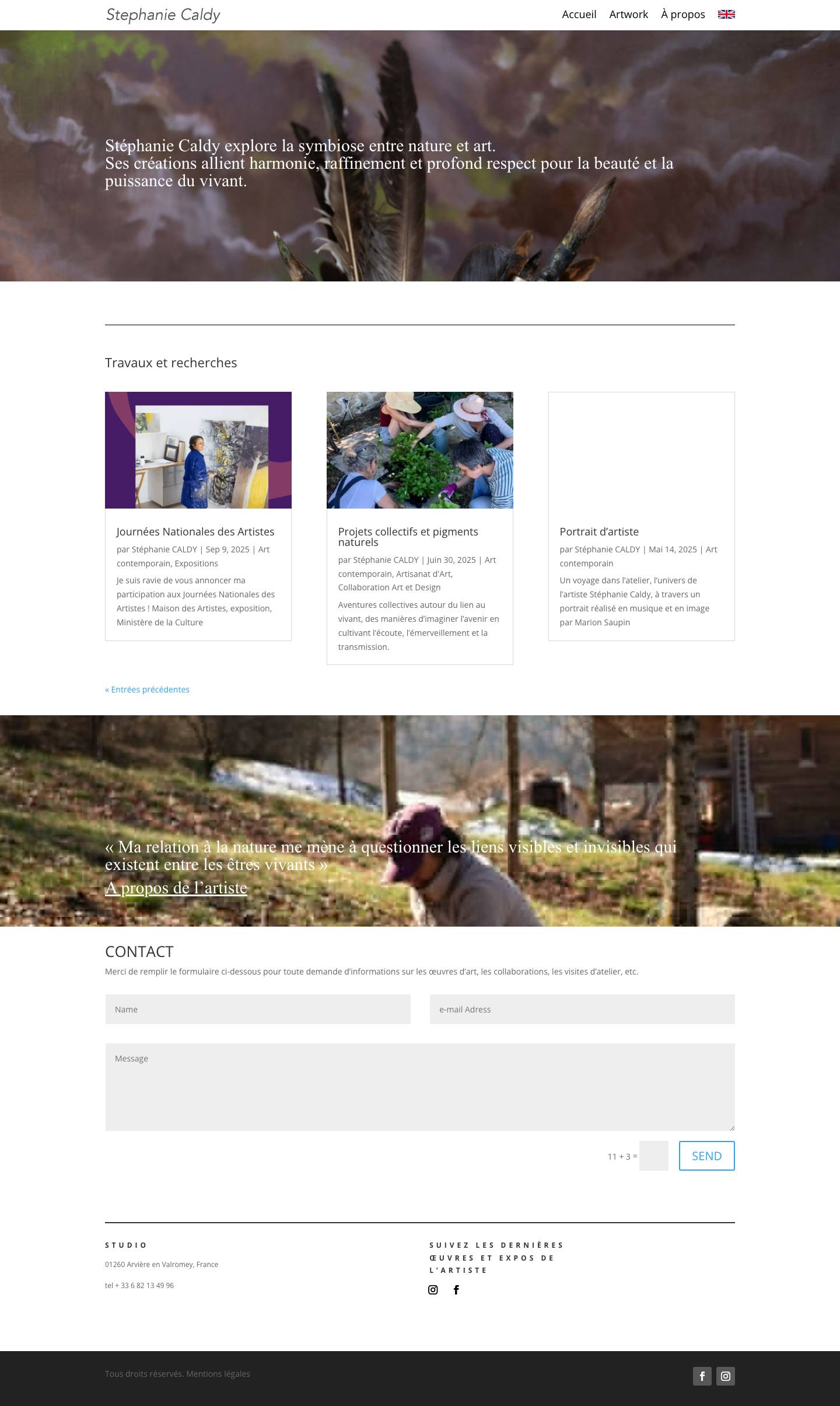 Stephanie Caldy | Contemporary Fine Art - Full Screenshot