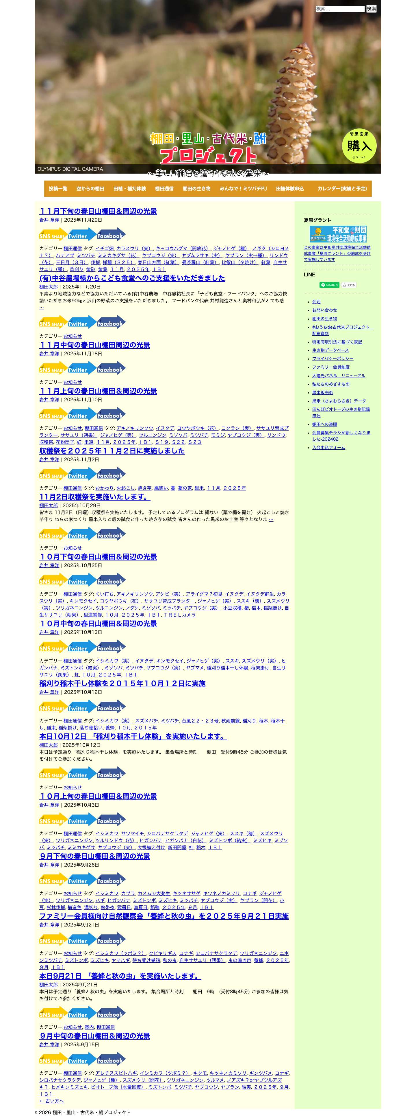 棚田・里山・古代米・鮒プロジェクト | ～美しい棚田の自然と古代米～ - Full Screenshot