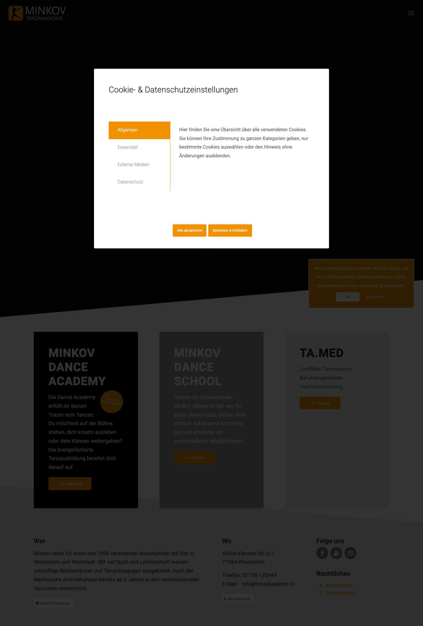 Minkov – Dance Academy & School - Full Screenshot