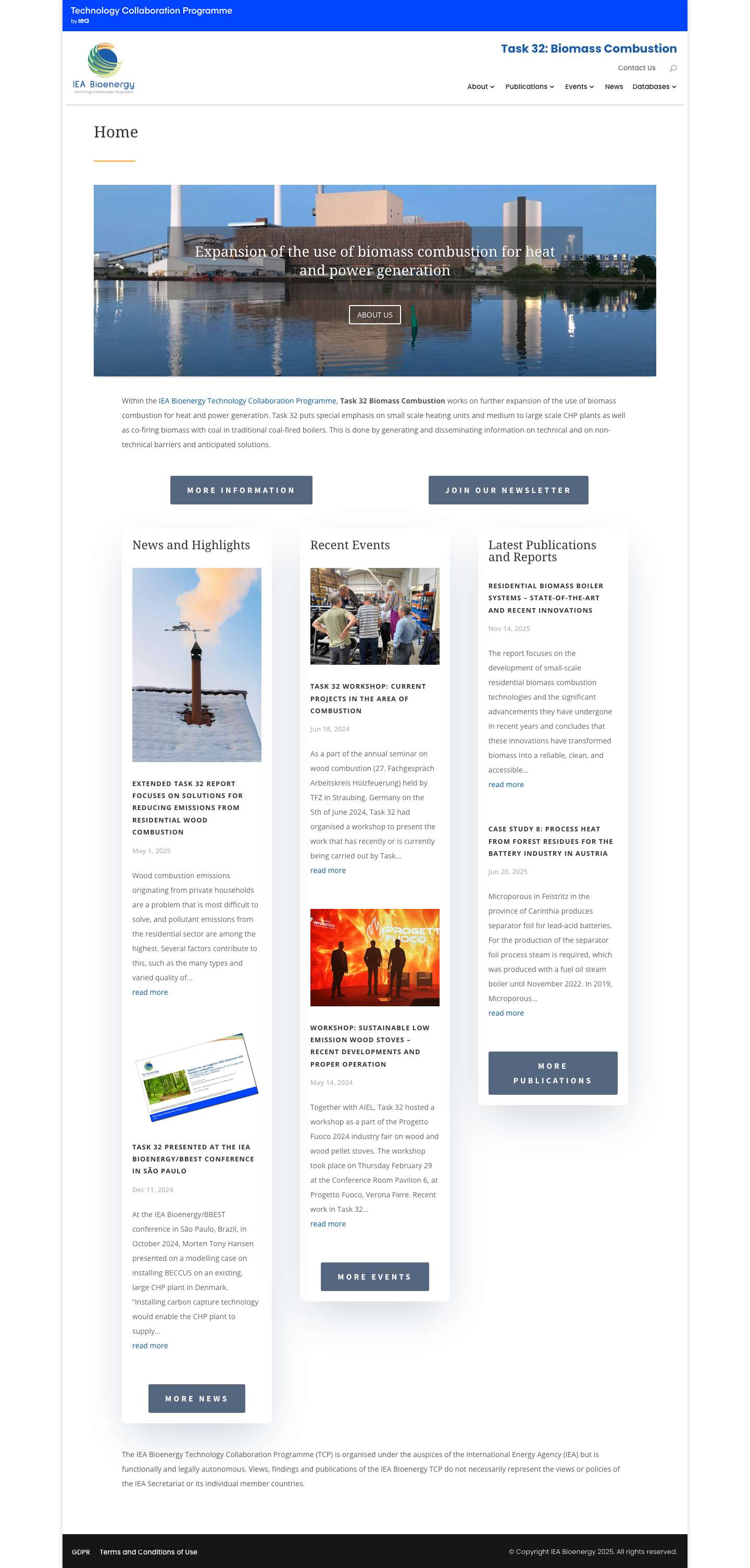 Task32 – Biomass Combustion - Full Screenshot