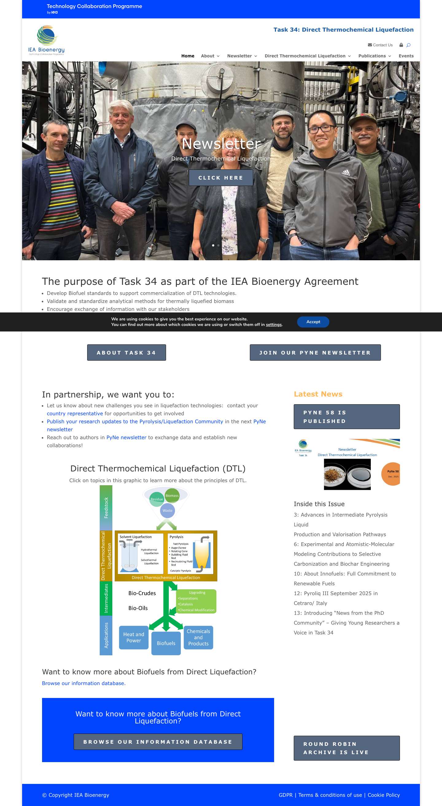 Task 34 | Direct Thermochemical Liquefaction - Full Screenshot