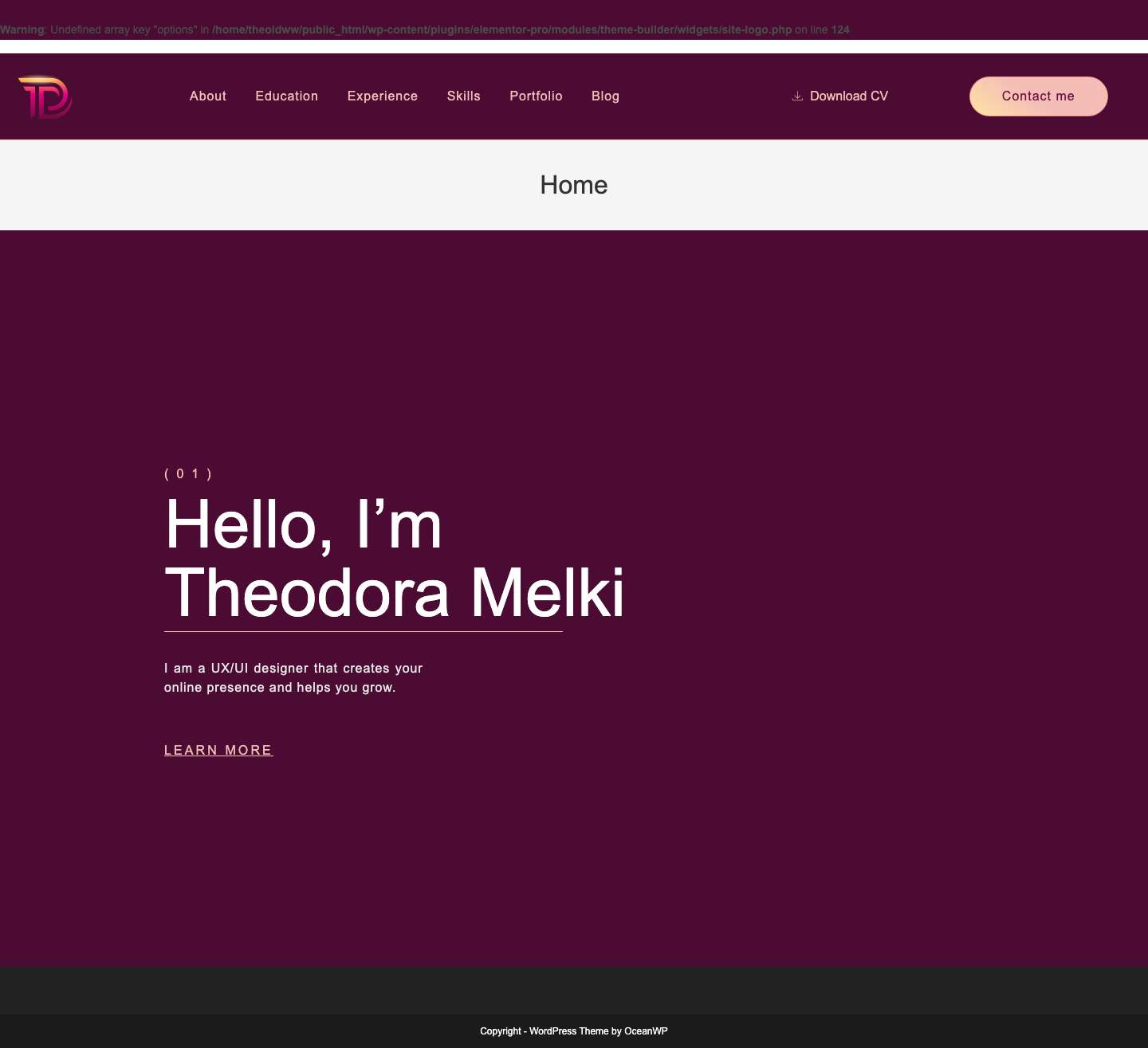 Theodora Digital Concepts – Digital Design Services - Full Screenshot