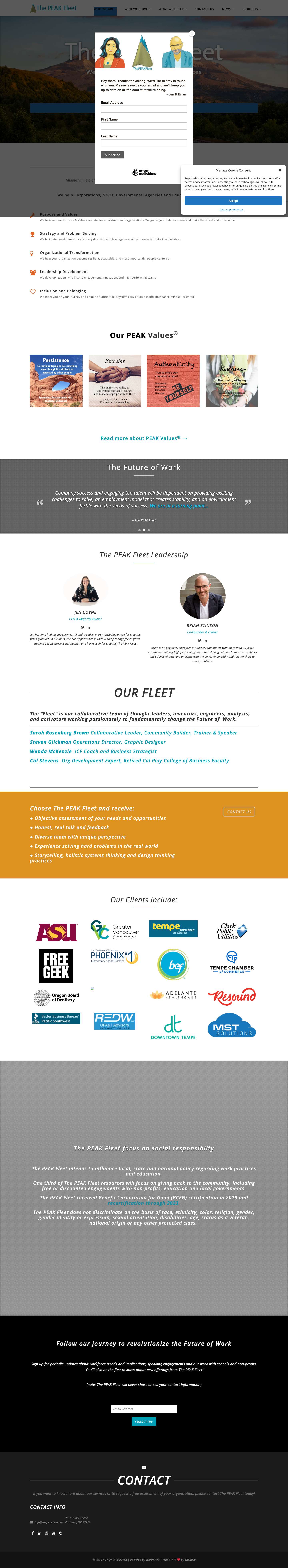 Management Consulting Services | The PEAK Fleet - Full Screenshot