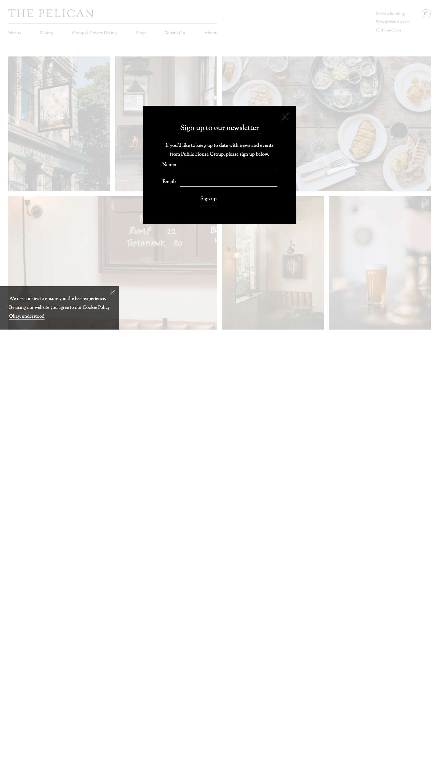 Home - The Pelican - Full Screenshot