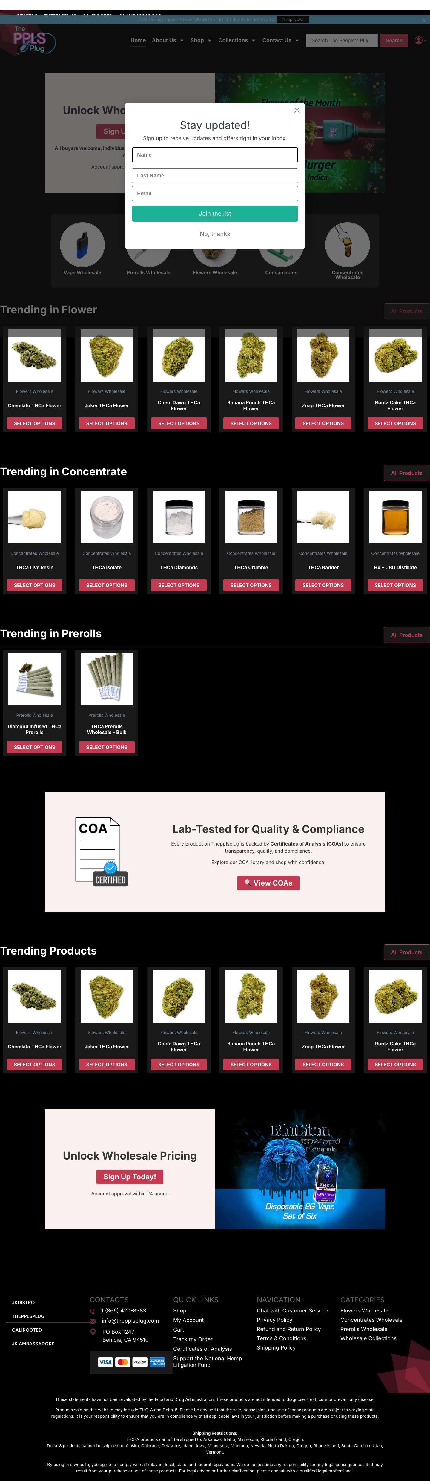 Thepplsplug | Hemp Wholesale – Bulk Pricing & Fast Shipping - Full Screenshot