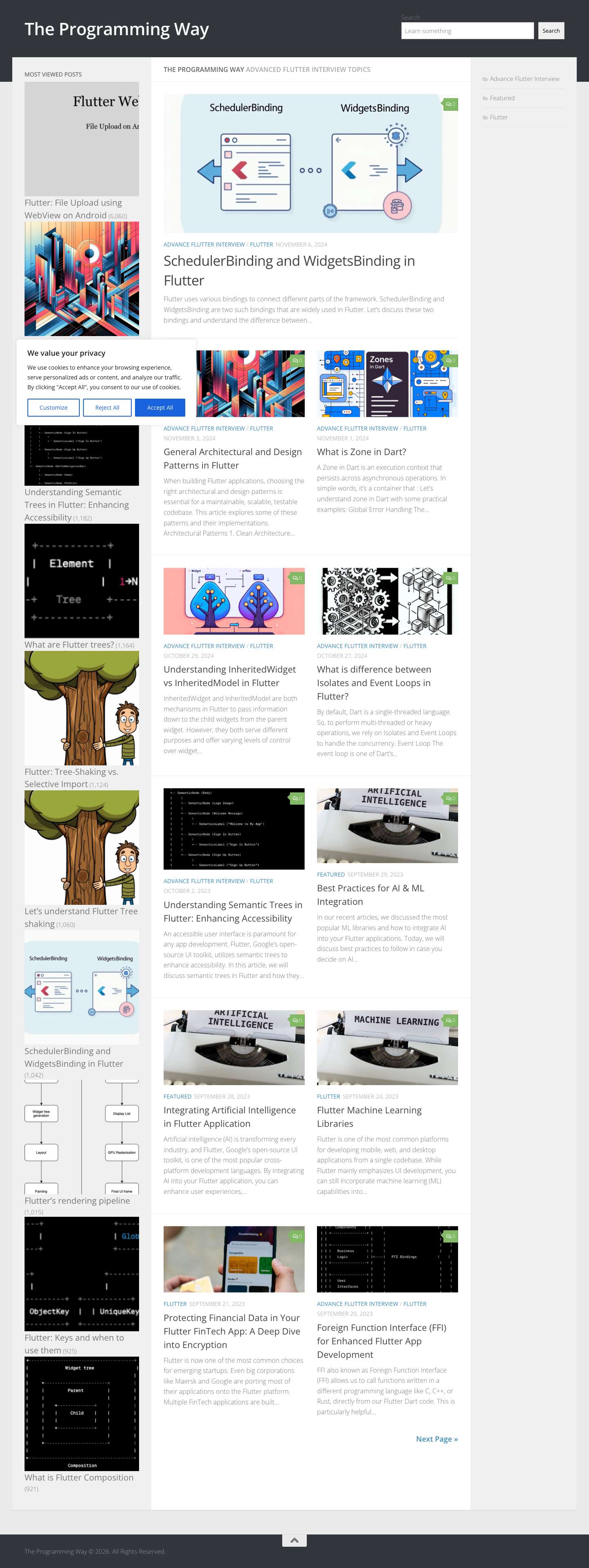 The Programming Way - Preparing you for advance interview topics - Full Screenshot