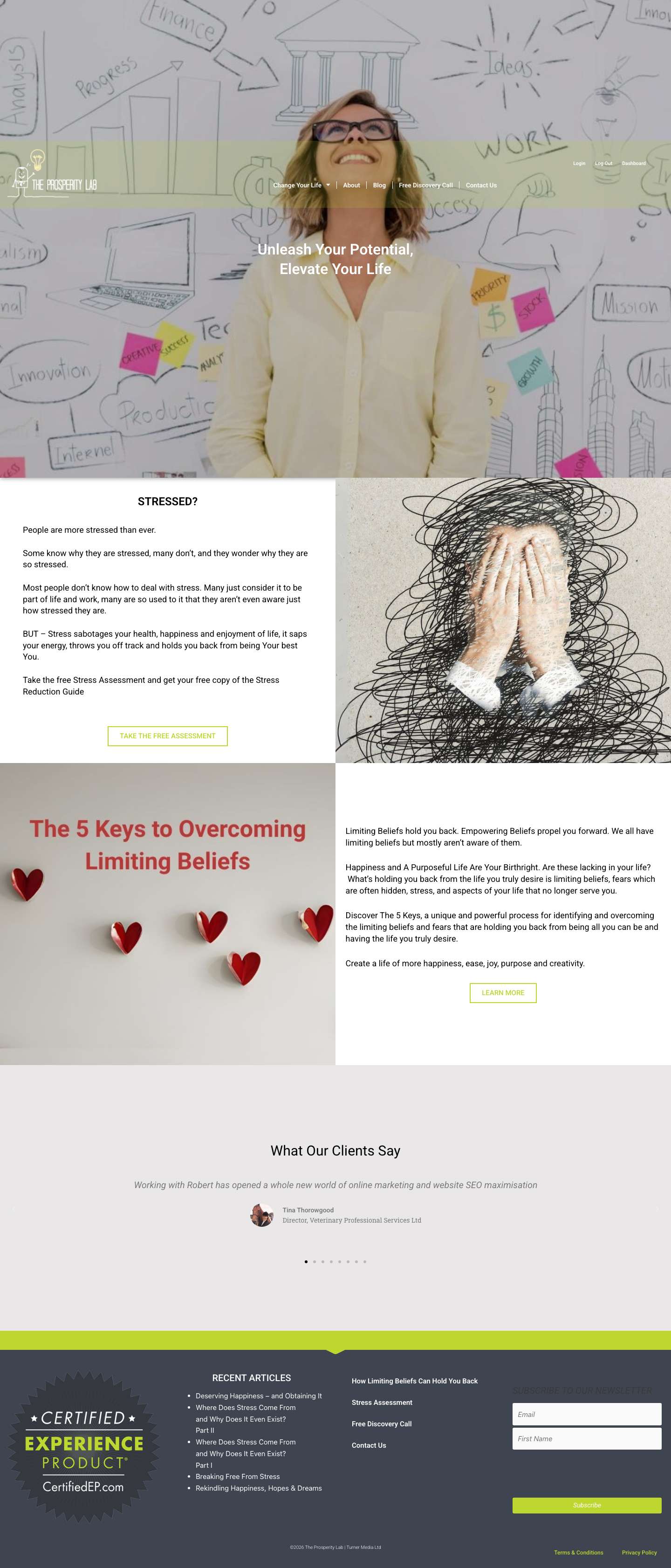 Home - The Prosperity Lab - Full Screenshot